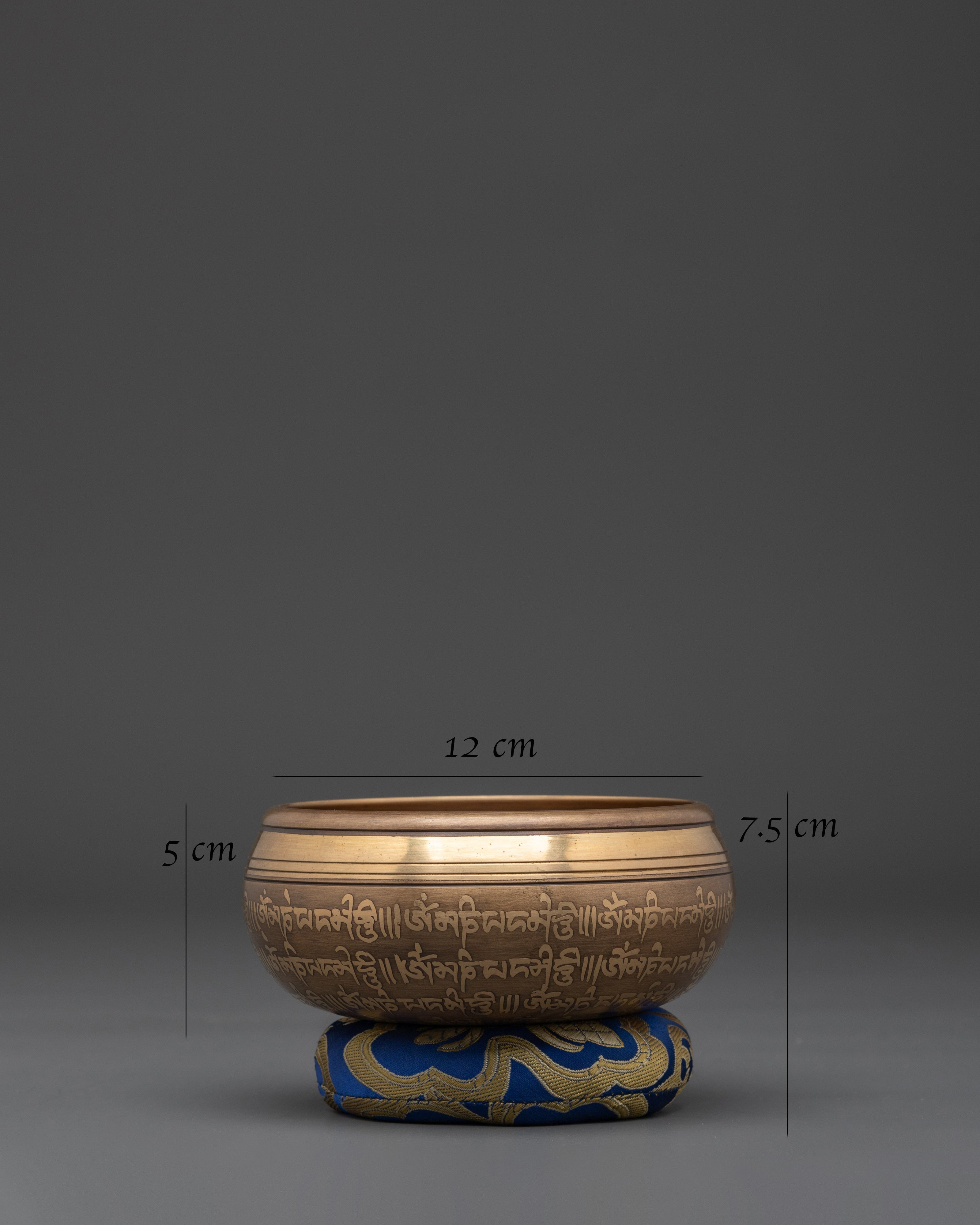 Singing Bowl for Mindfulness | Sound Healing Practices