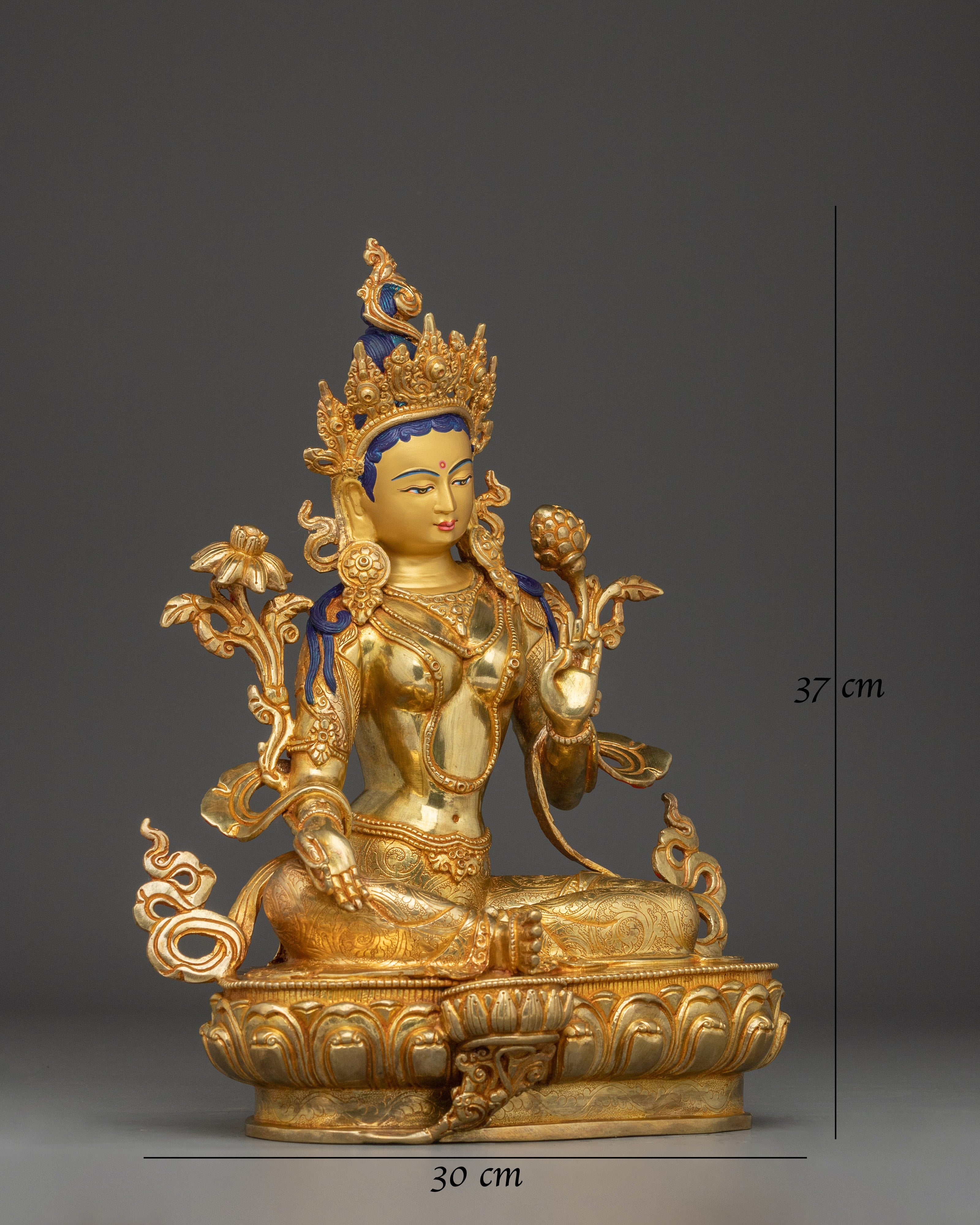 Compassionate Deity Shyama Tara Artwork