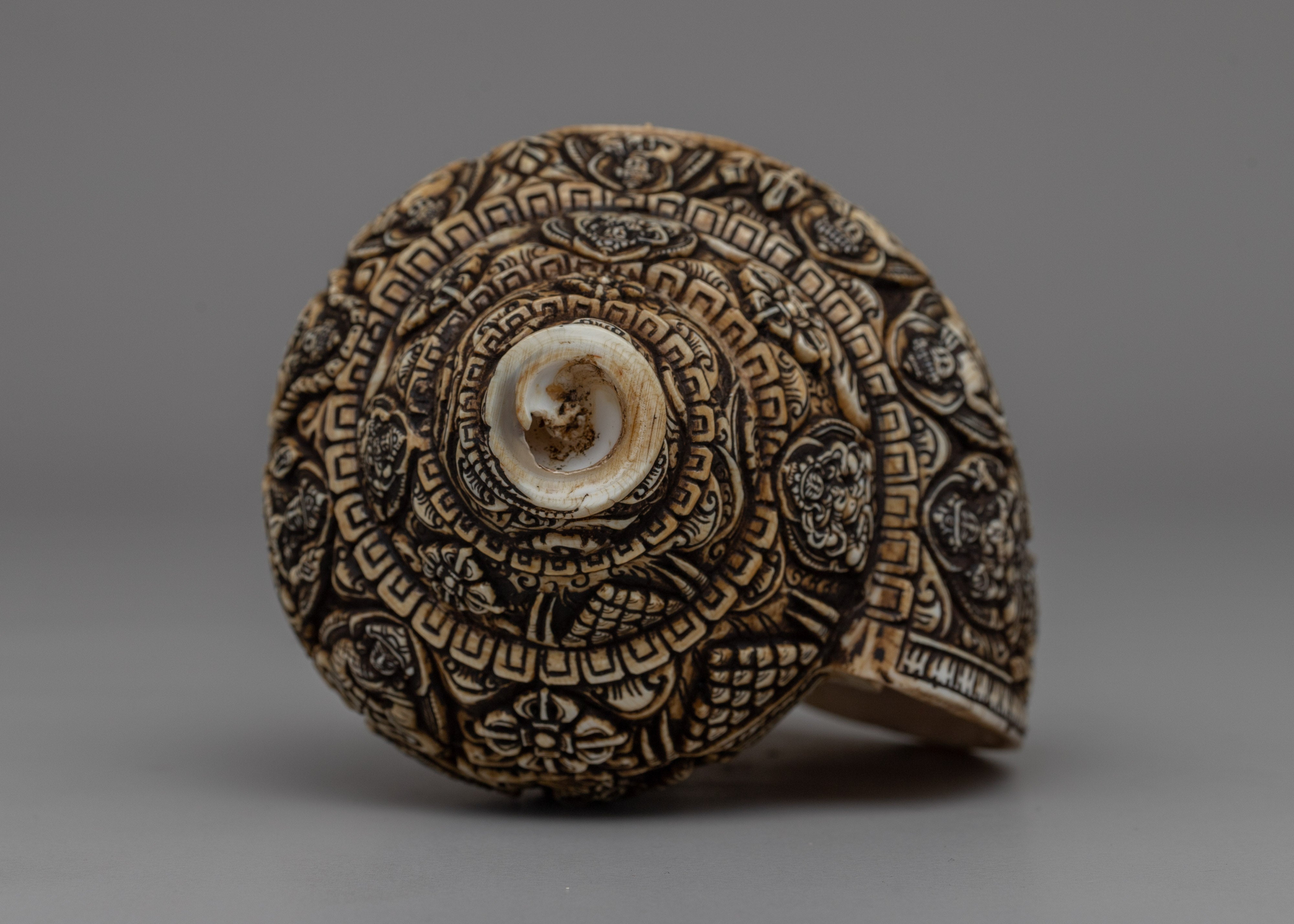 Handcrafted Traditional Tibetan Conch Shell | Sacred Buddhist Sankha