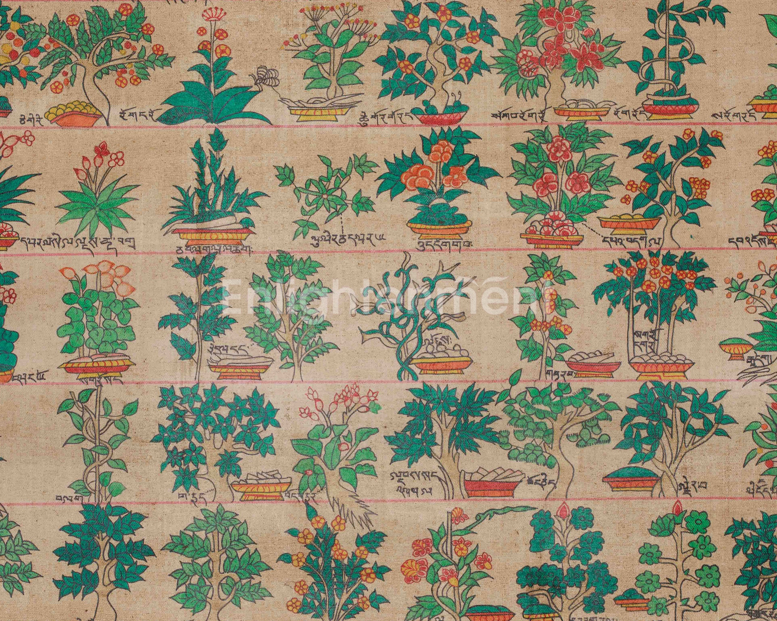 Himalayan Medical Plants Thangka | Symbolizing Natural Medicine, Spiritual Wellness, and Herbal Protection | Nature's Sacred Gifts