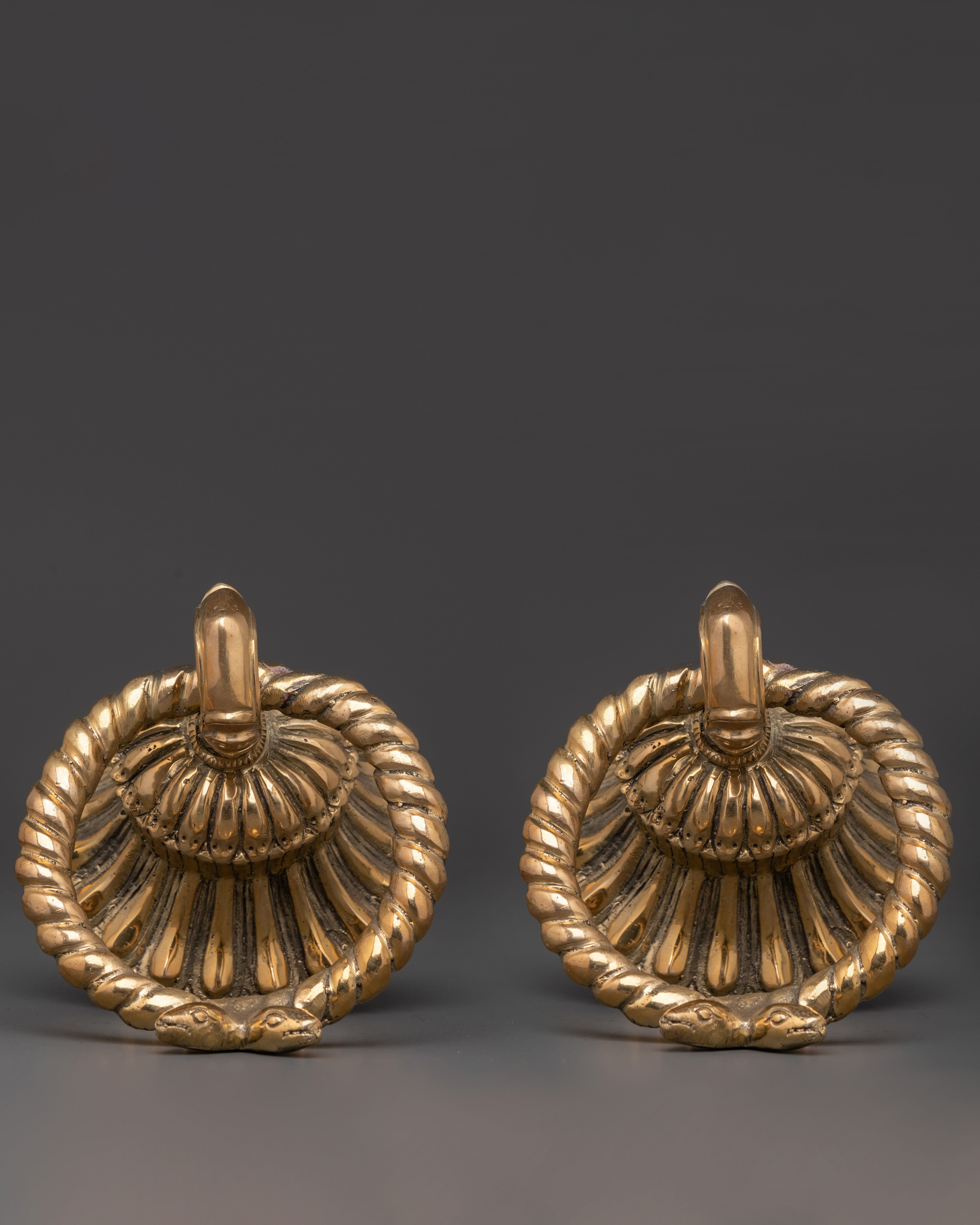 Handmade Brass Door Knocker Set | Intricate Rope and Serpent Design