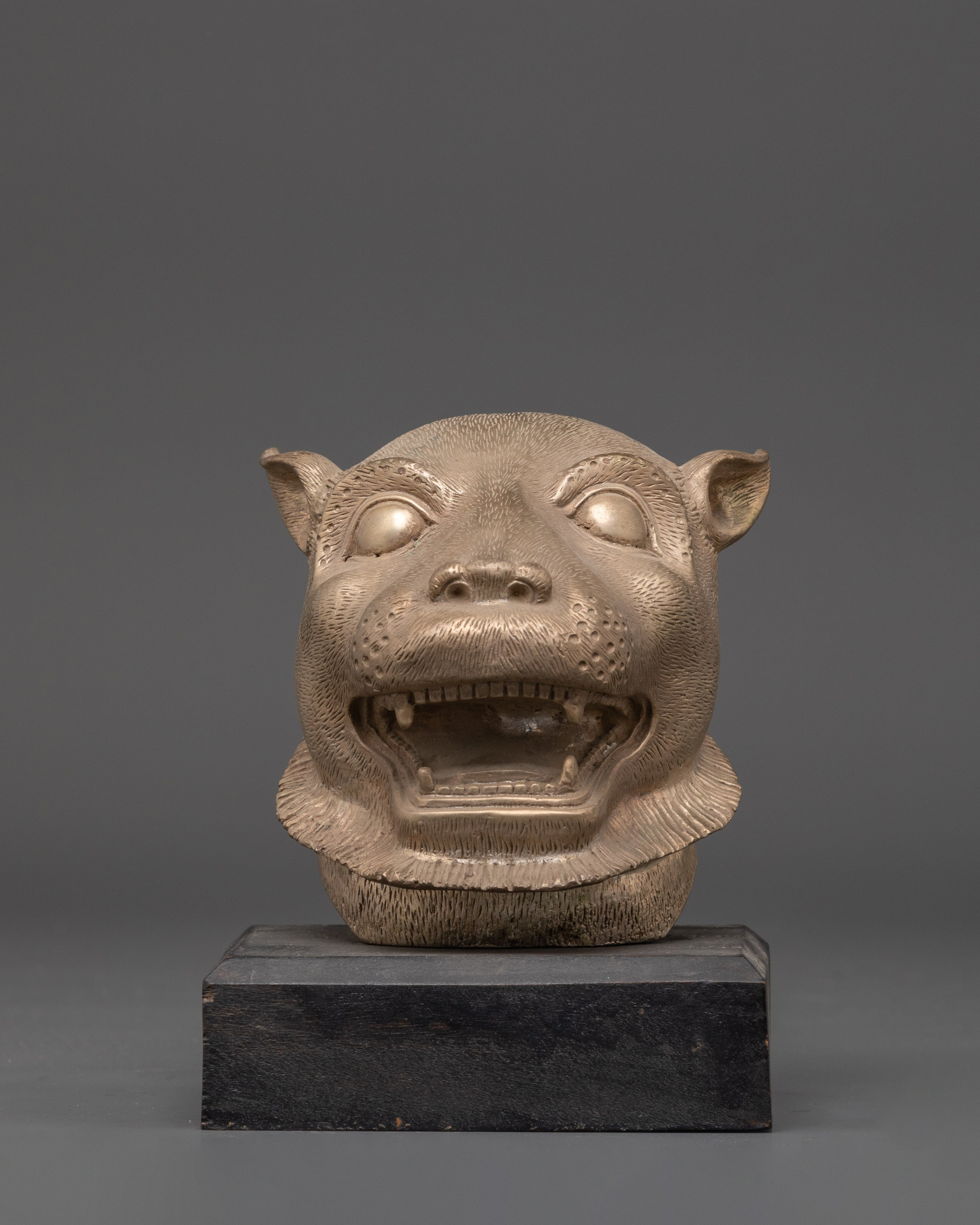 Tiger Head | Unique Animal Art