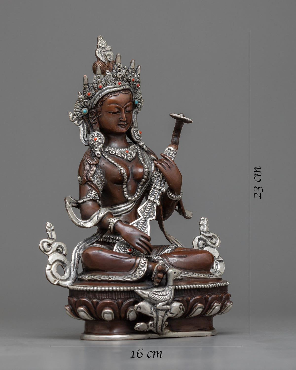arya saraswati