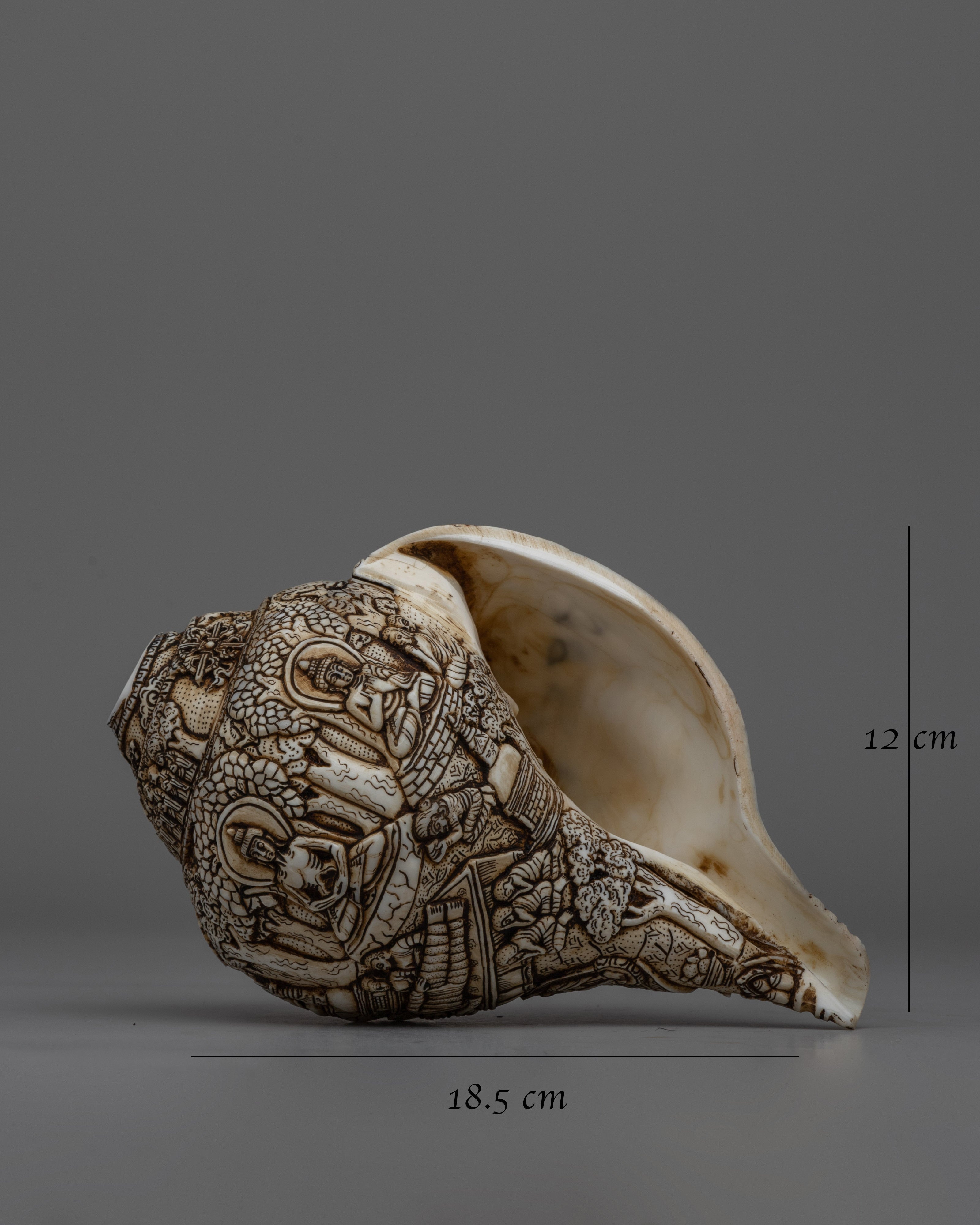 Divine Hand-Carved Conch Shell | Handcrafted Shankh for Rituals and Meditation