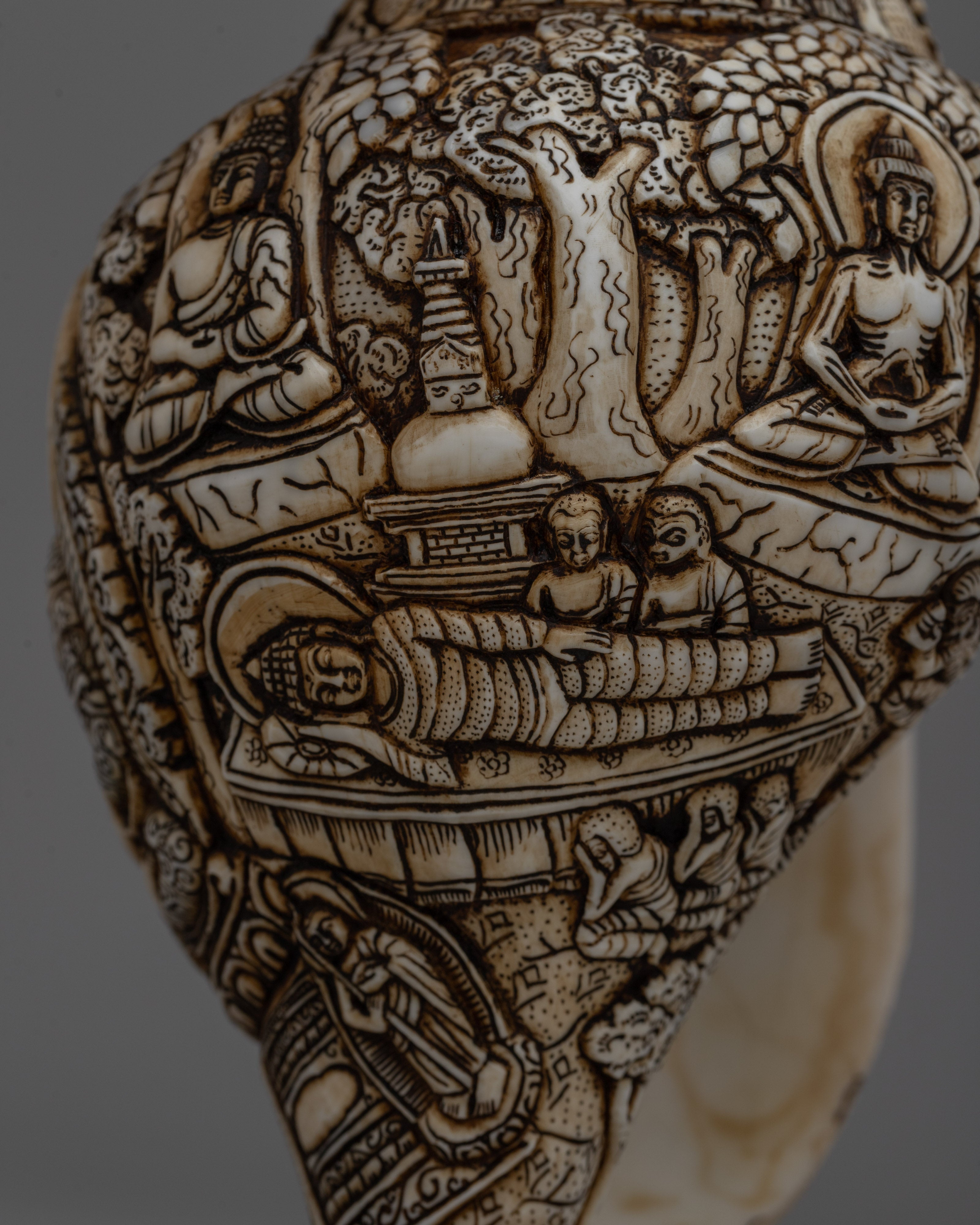 Divine Hand-Carved Conch Shell | Handcrafted Shankh for Rituals and Meditation