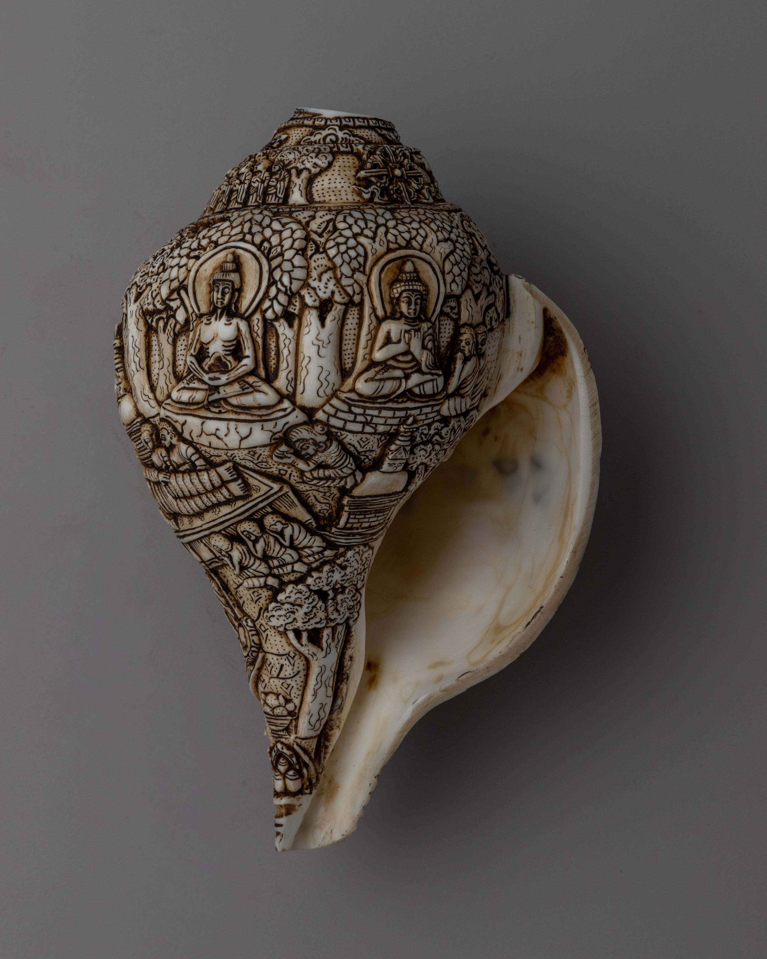 Divine Hand-Carved Conch Shell | Handcrafted Shankh for Rituals and Meditation