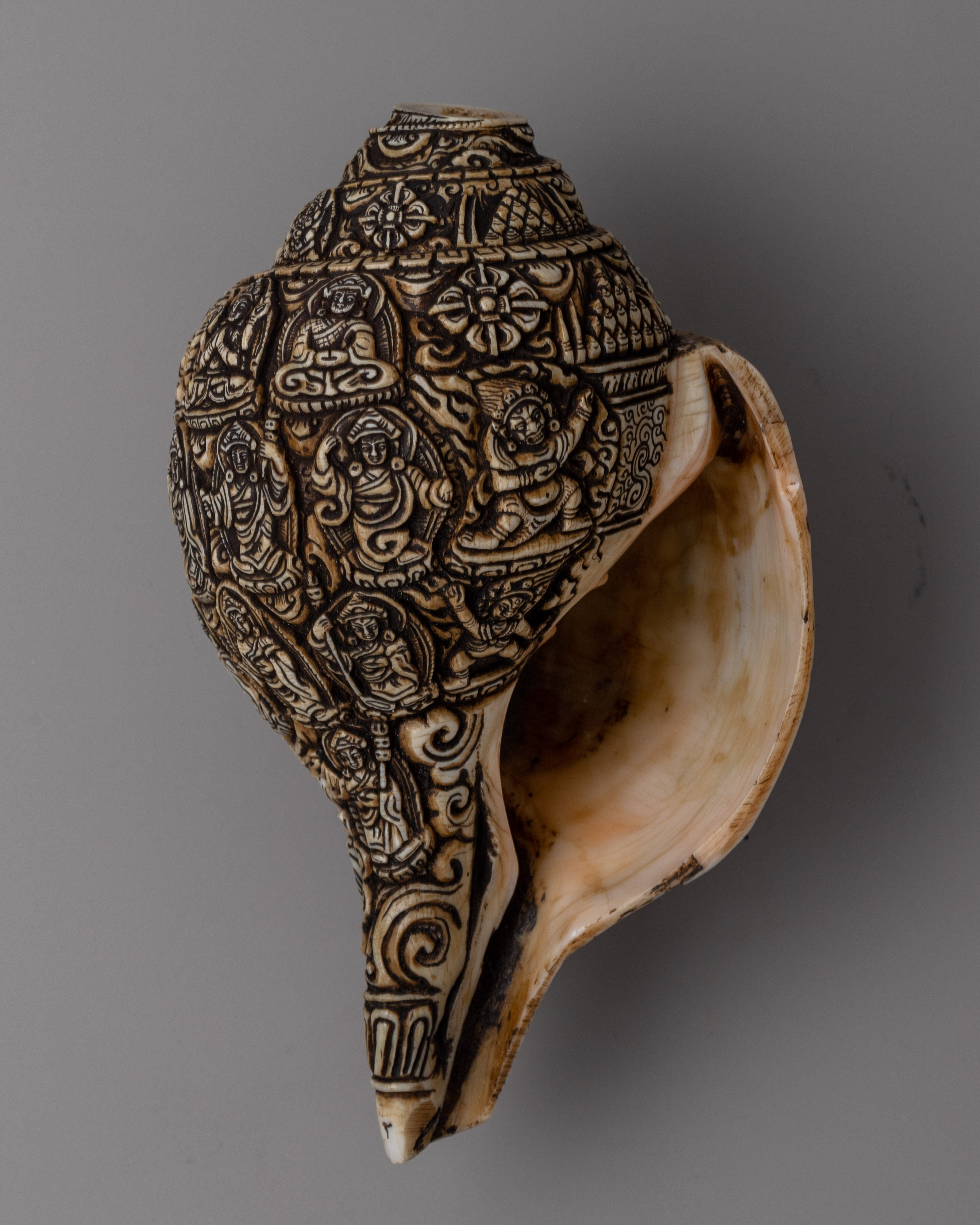 Handcrafted Traditional Tibetan Conch Shell | Sacred Buddhist Sankha