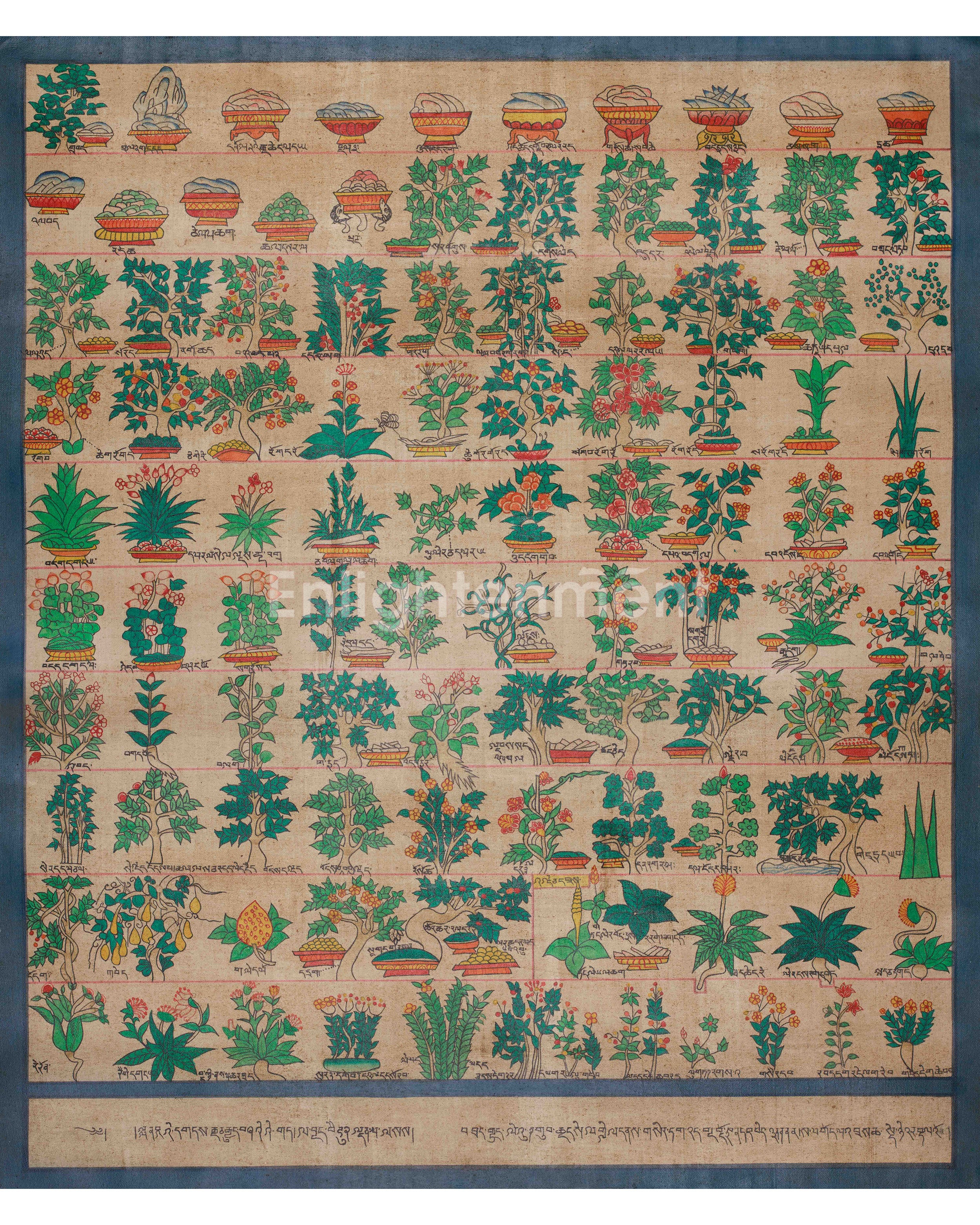 Himalayan Medical Plants Thangka
