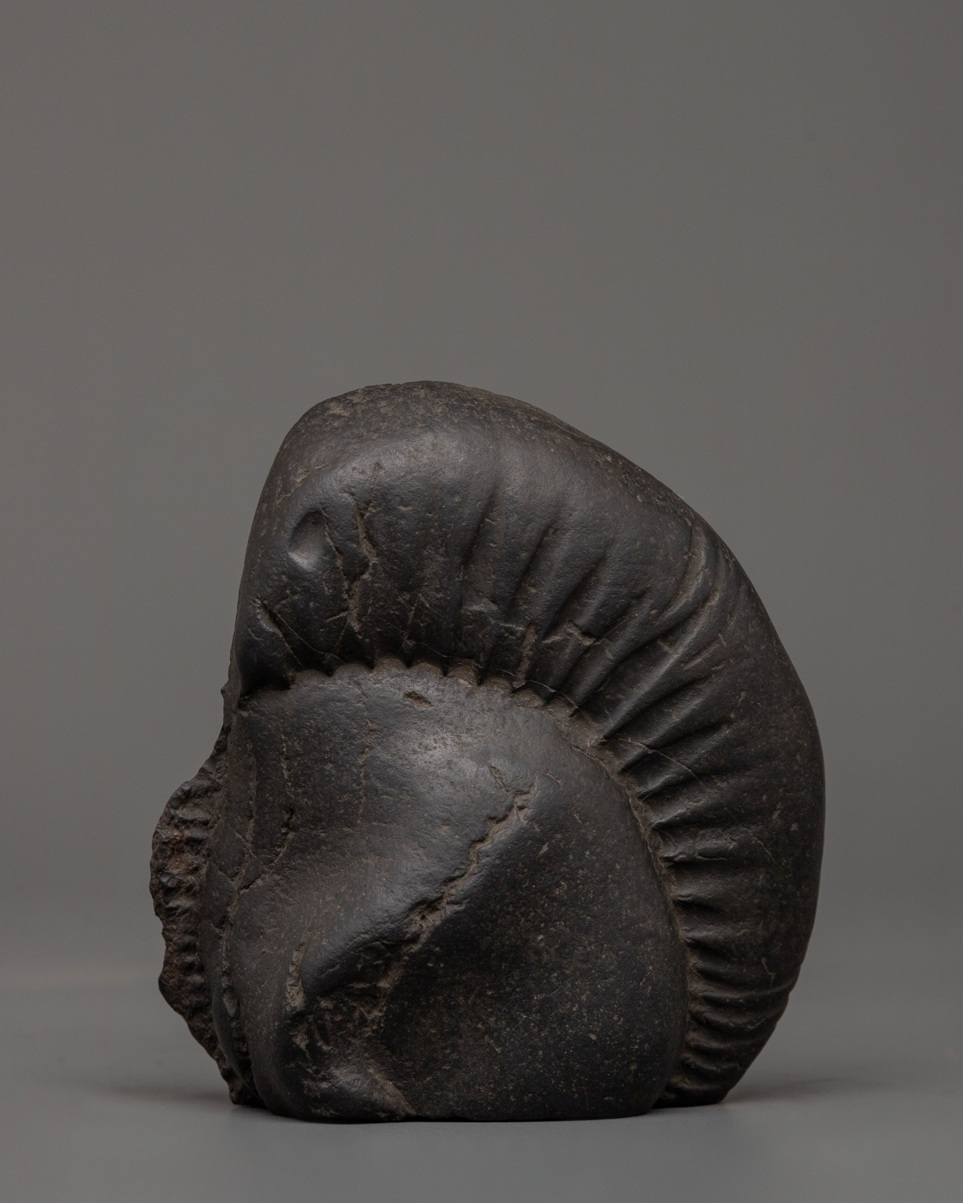 Shakya Mahakala Statue | A Powerful Guardian