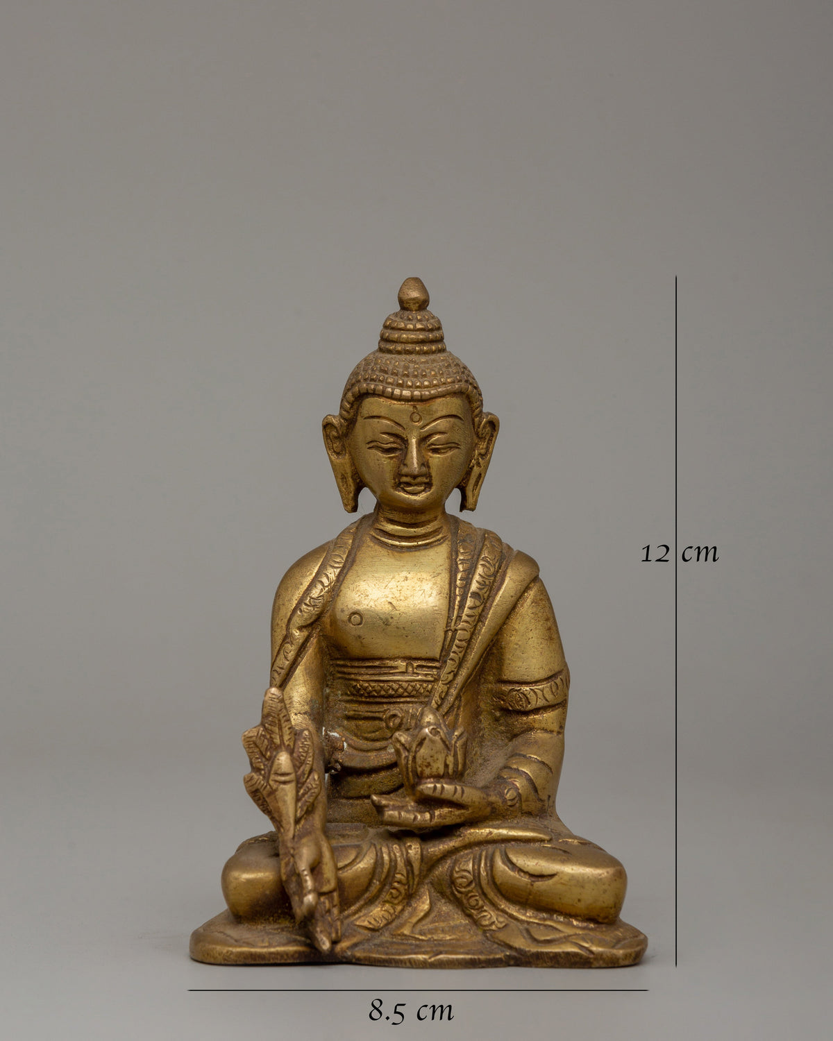Small Medicine Buddha Statue | The Healer of Body
