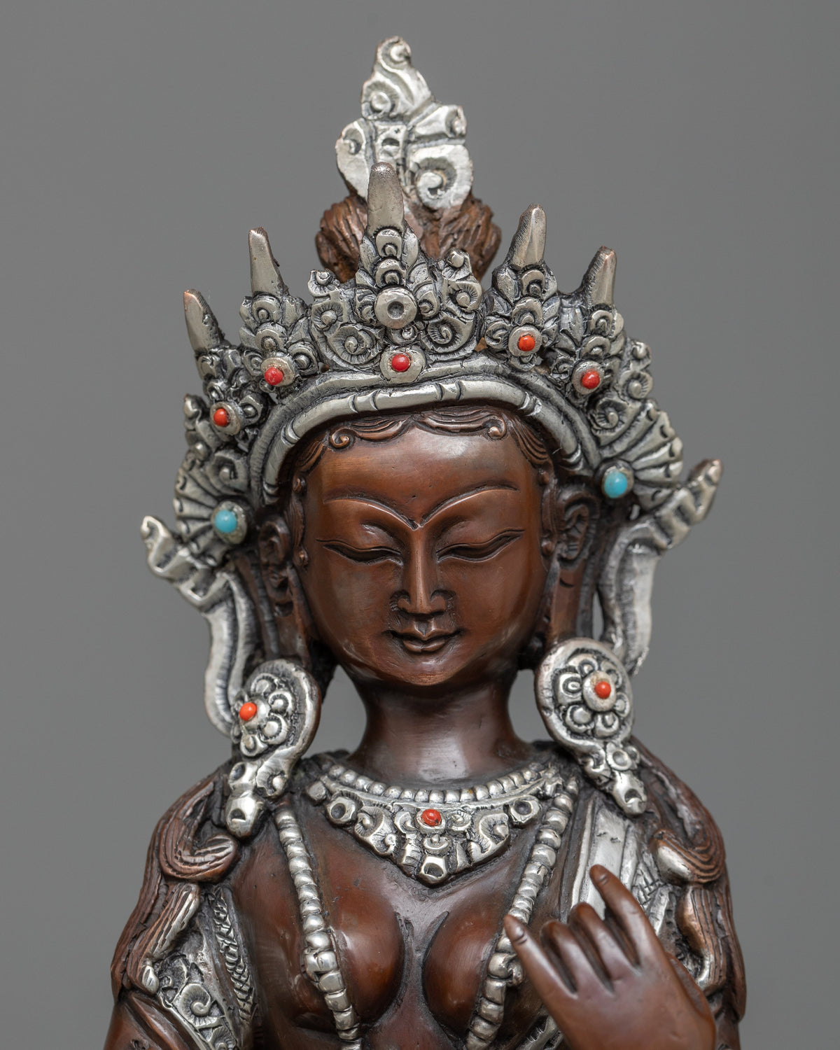 arya saraswati