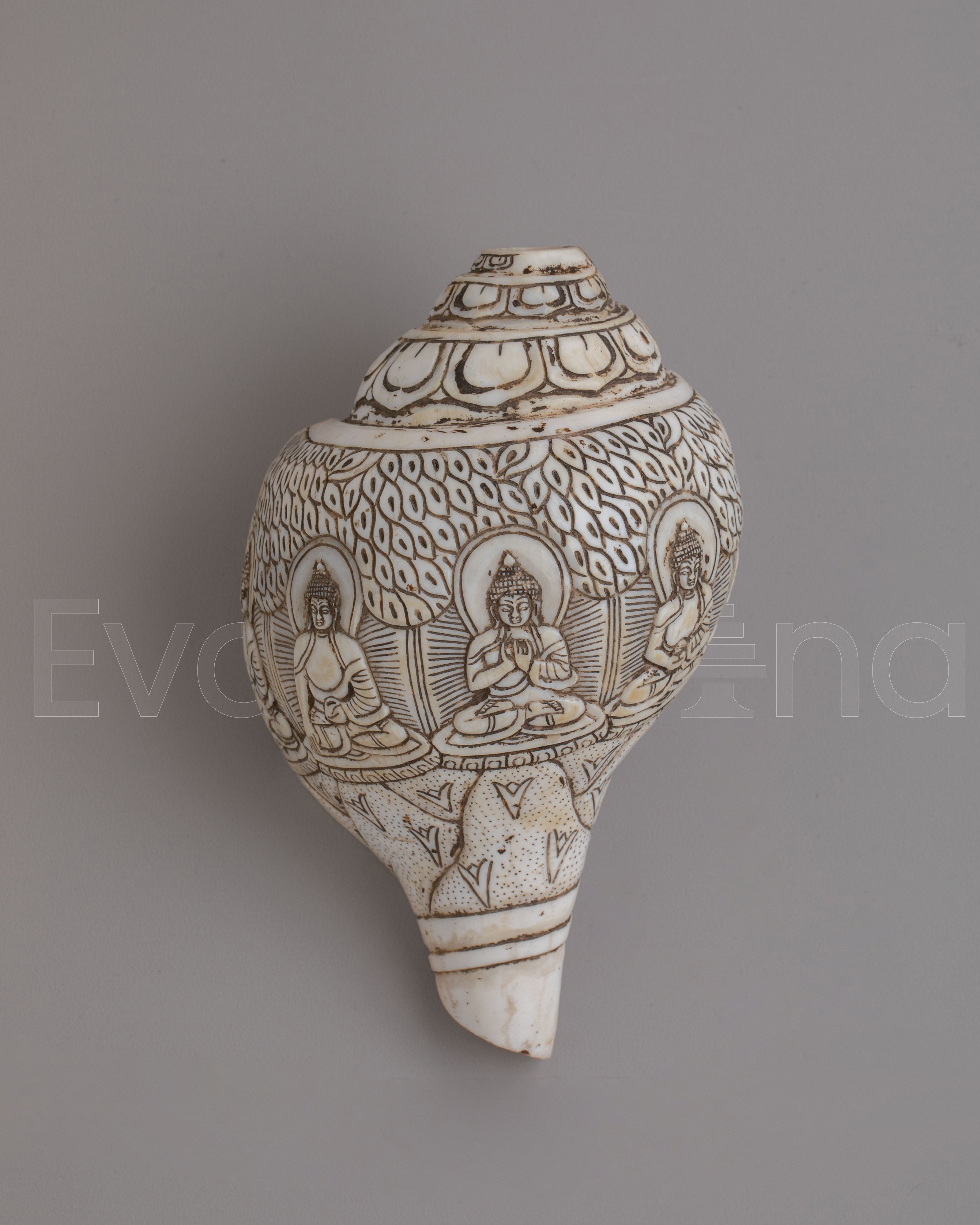 Dhyani Buddha Engraved Conch