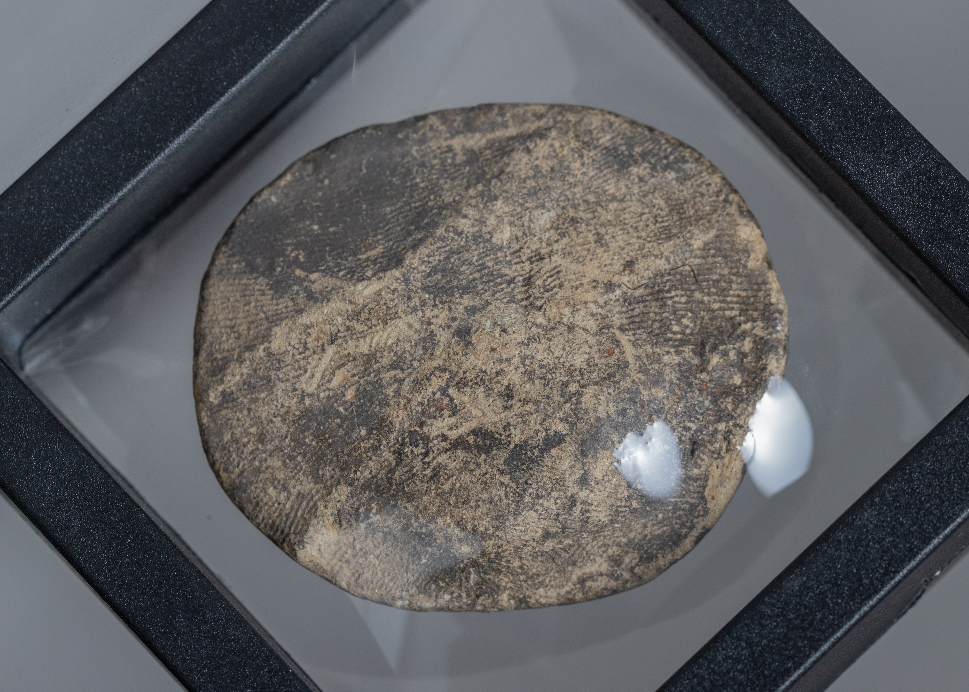 Green Tara Floating Frame | Display Box