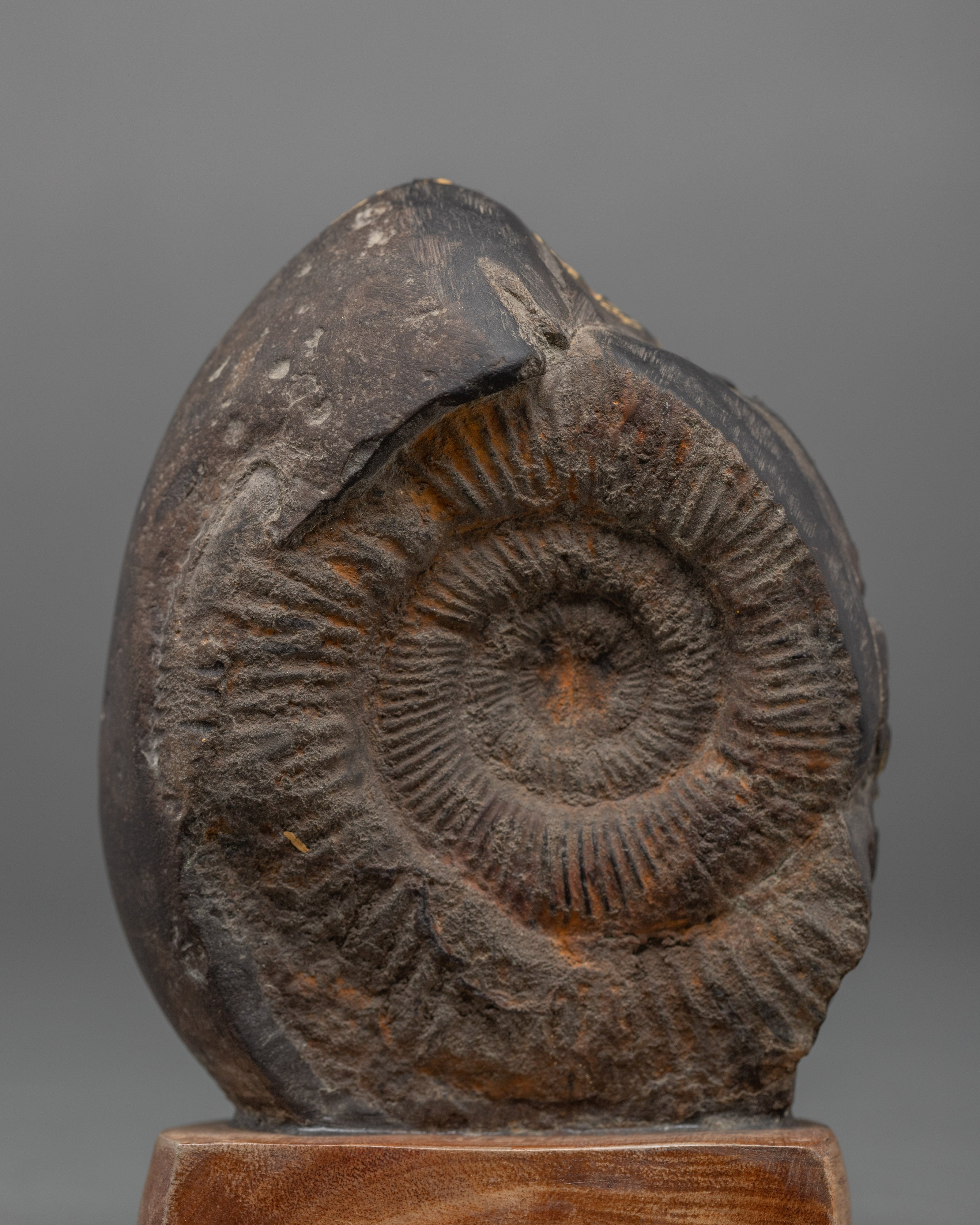 Dorje Phagmo | Religious Handcarved Statue | Ritual Artifacts