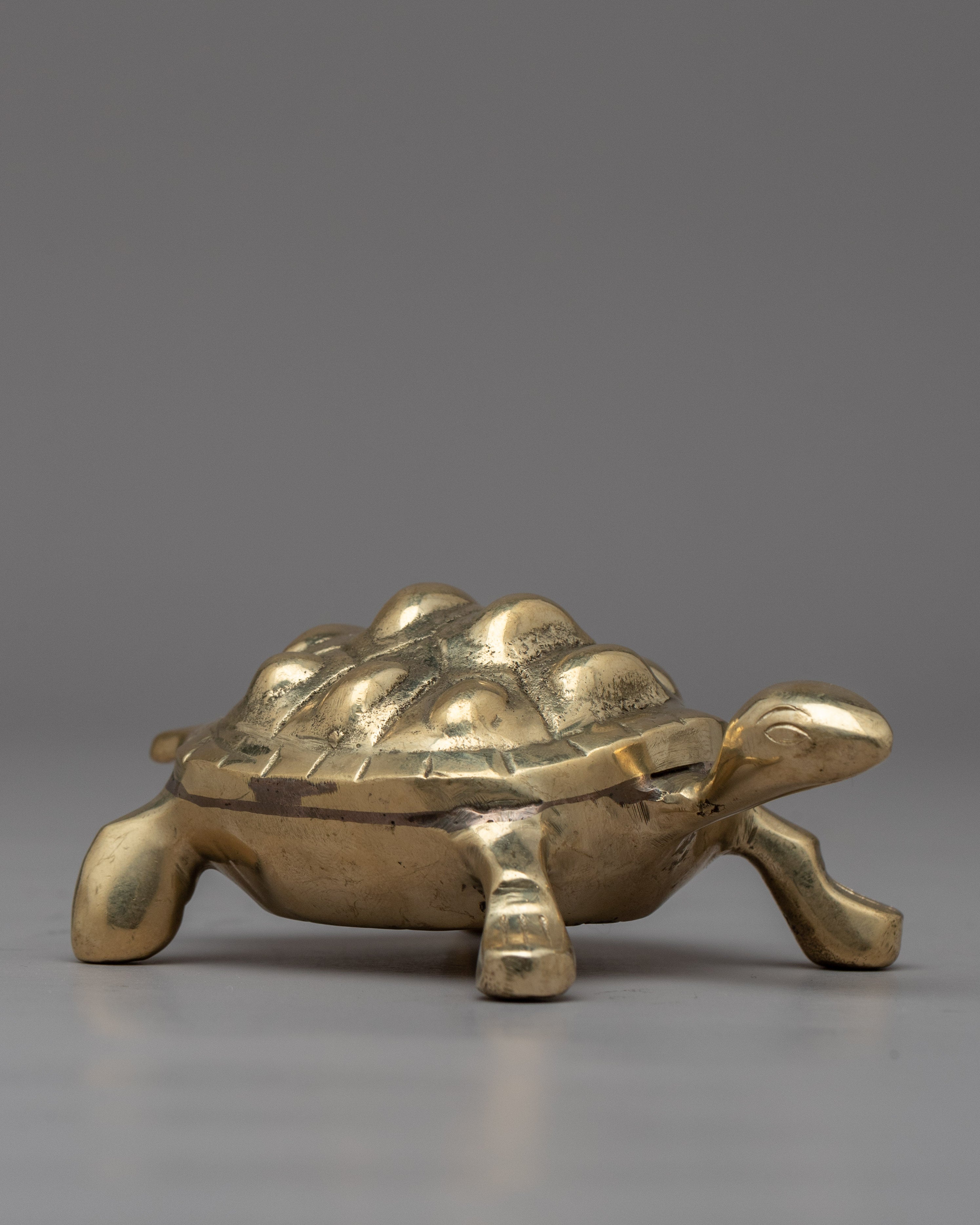 The Brass Turtle