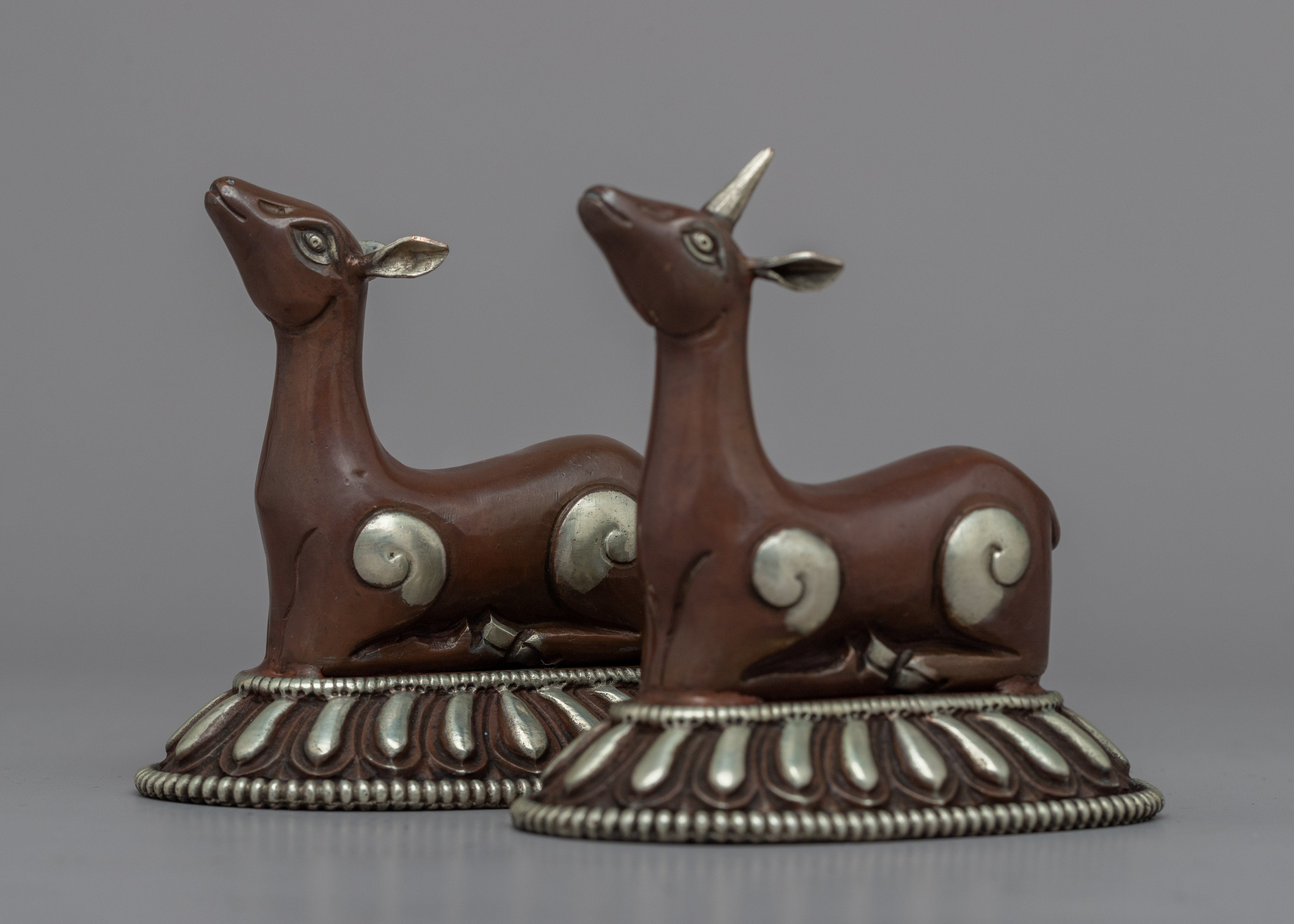 Buddhist Dharma Wheel of Wisdom | Discover Serenity with Buddhist Symbolism