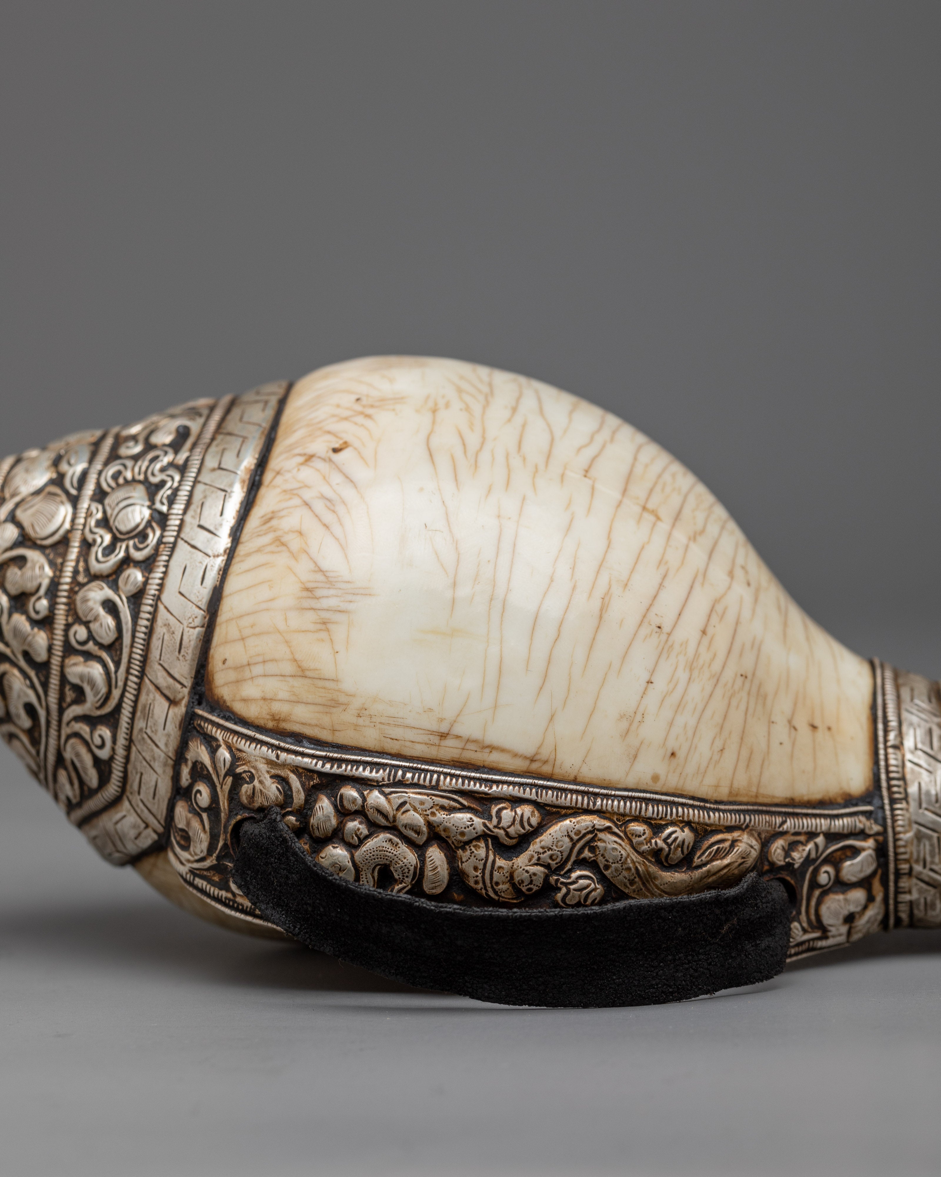 Concha Shell | Enhance Your Style with Sankha