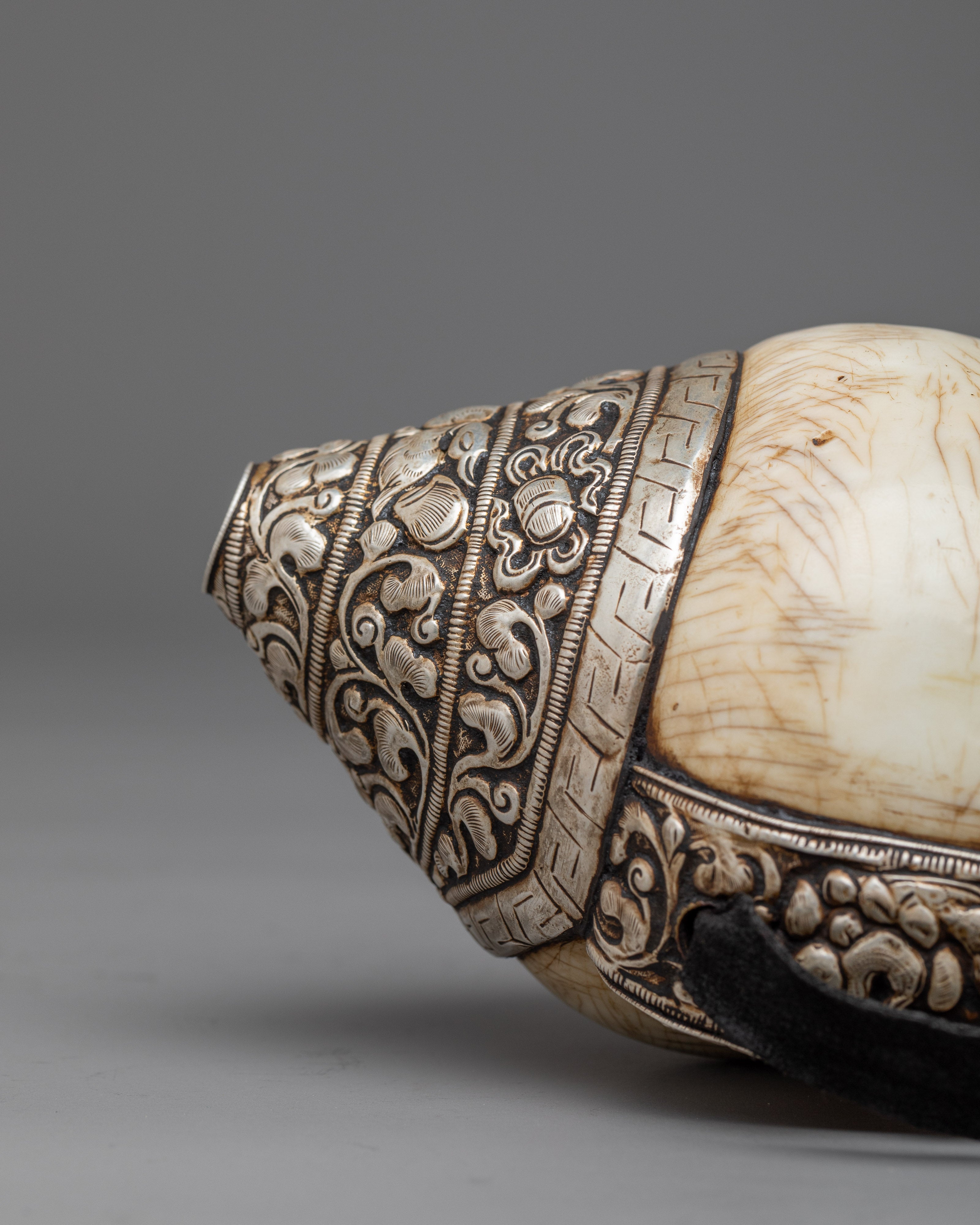 Concha Shell | Enhance Your Style with Sankha