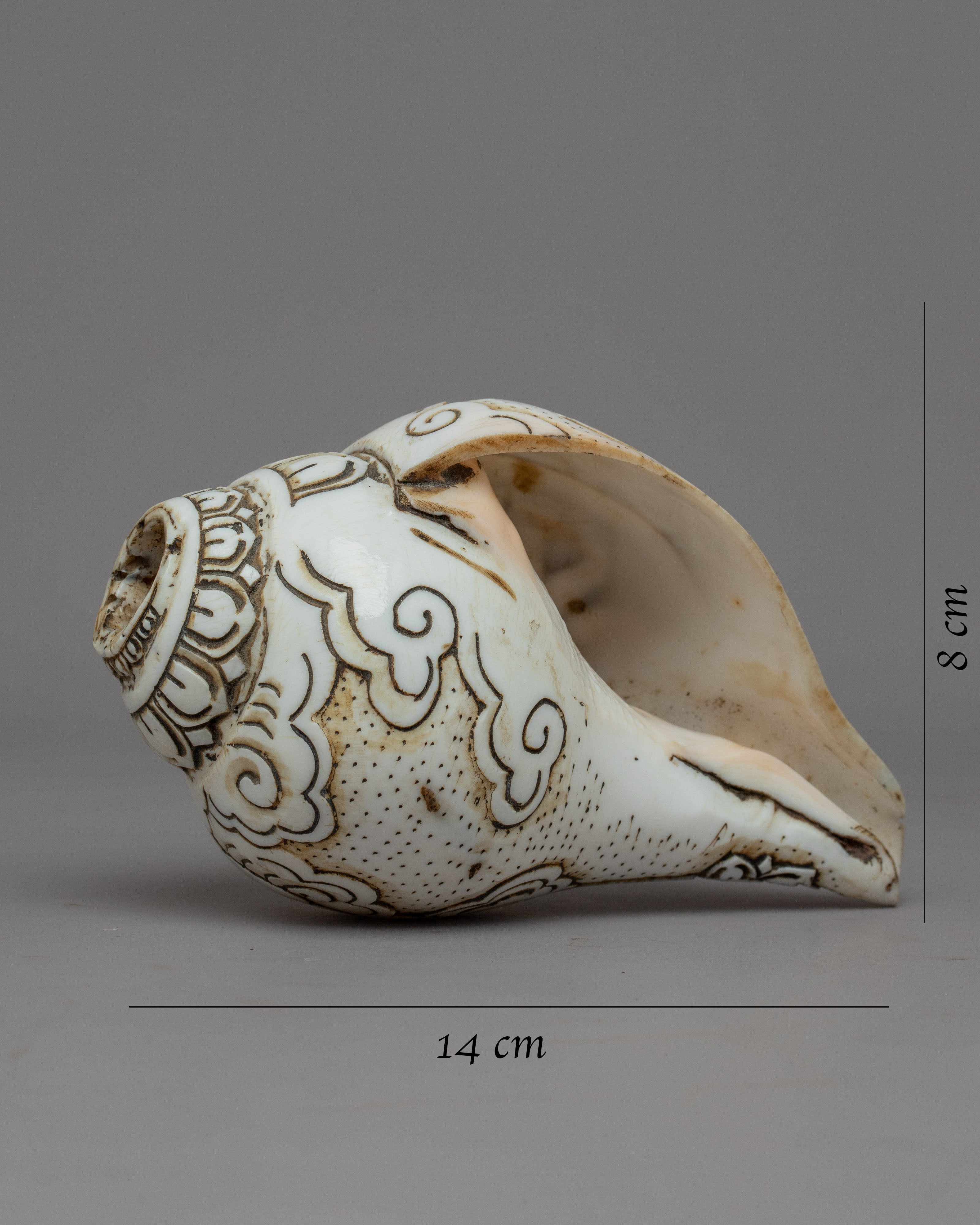 Handcraved Ritual Shankha | Sacred Conch Shell for Ceremonies