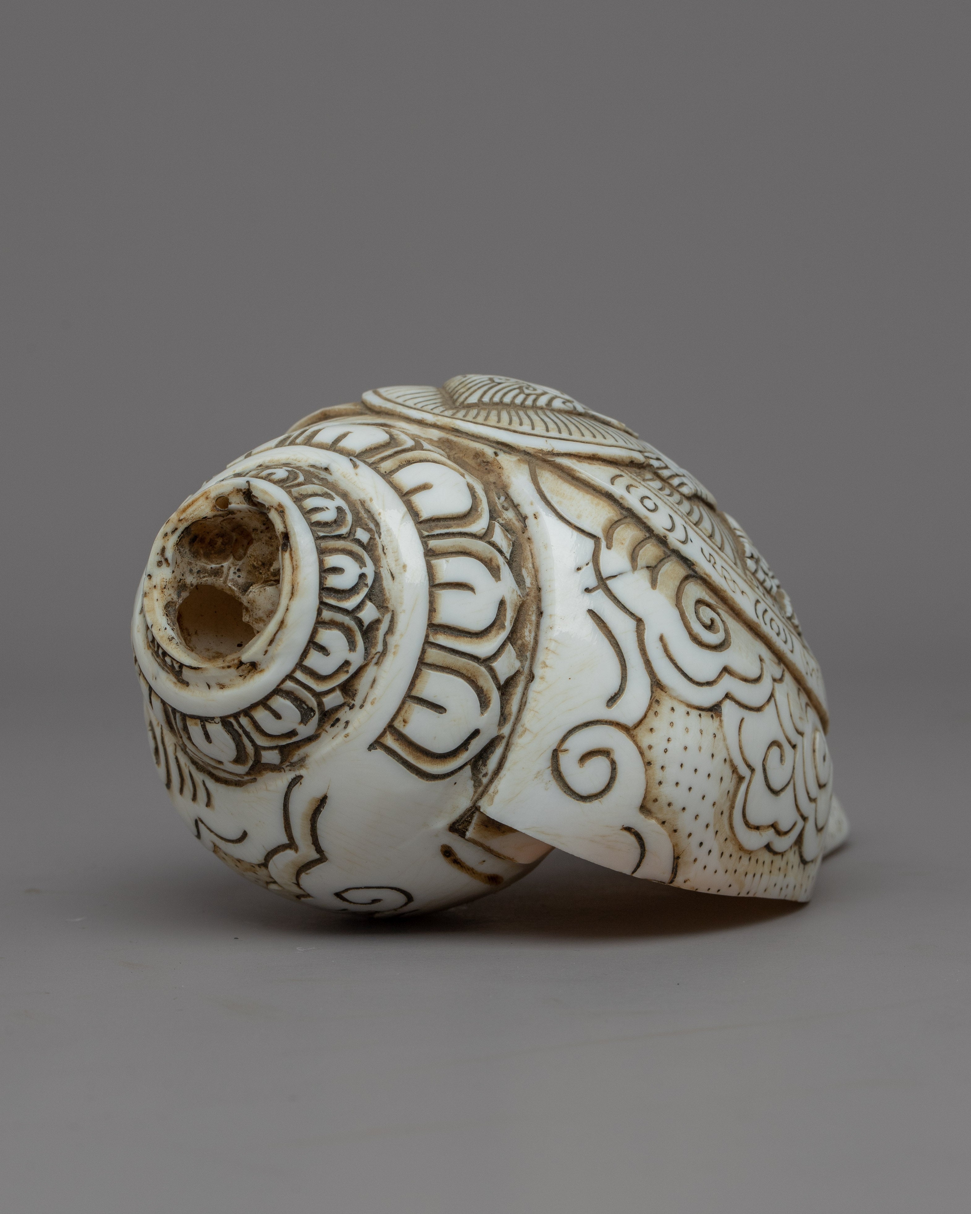 Handcraved Ritual Shankha | Sacred Conch Shell for Ceremonies