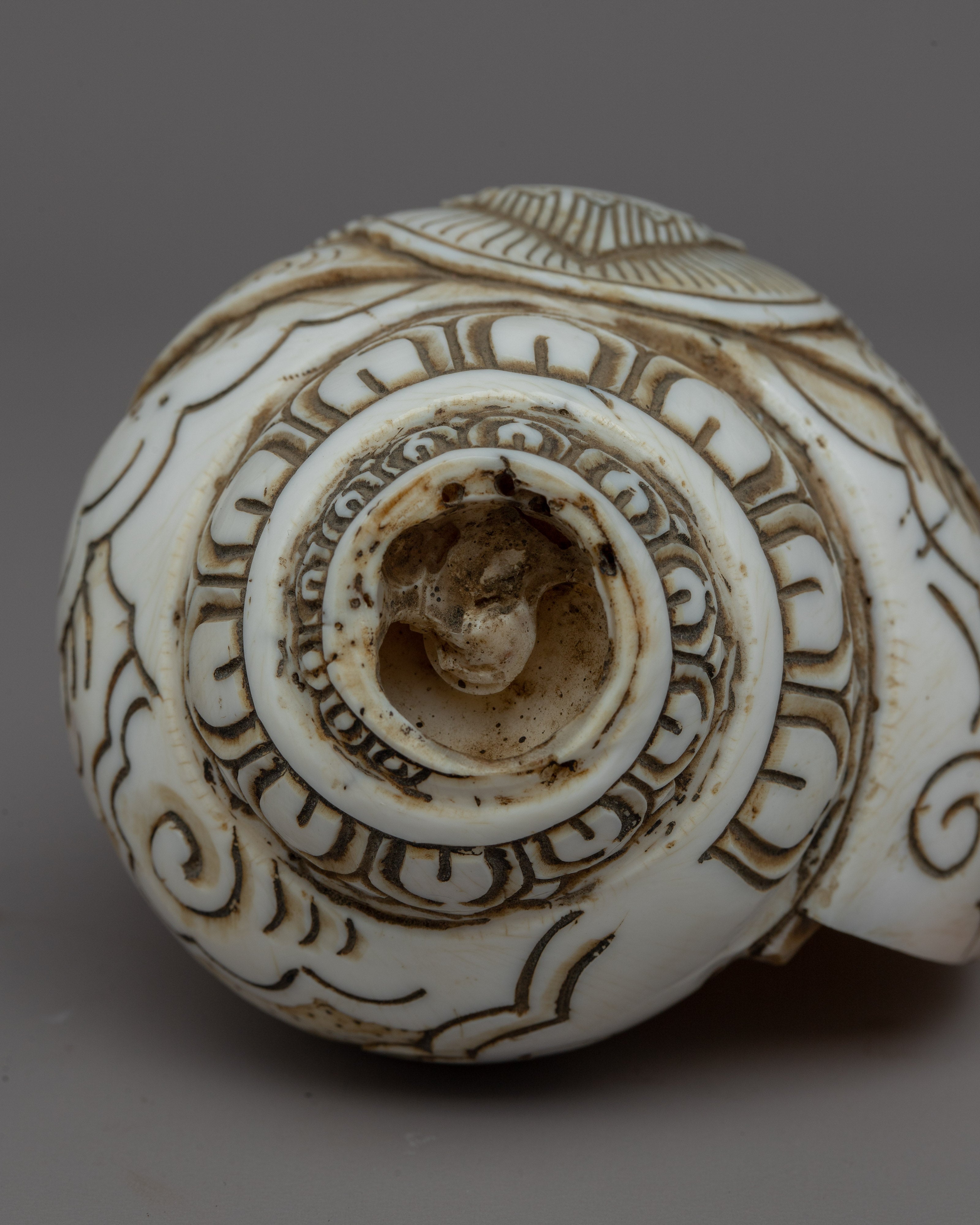 Handcraved Ritual Shankha | Sacred Conch Shell for Ceremonies