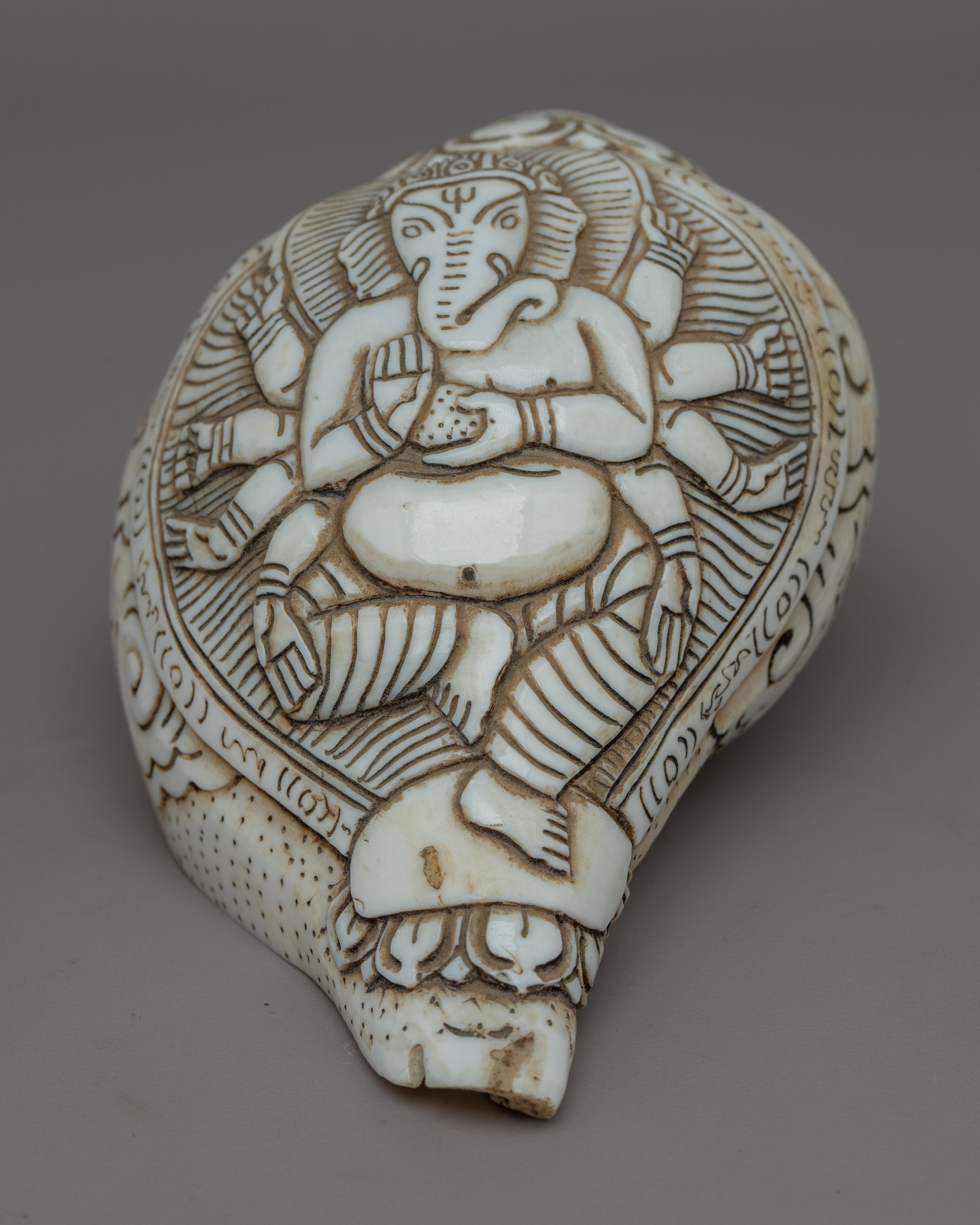 Handcraved Ritual Shankha | Sacred Conch Shell for Ceremonies