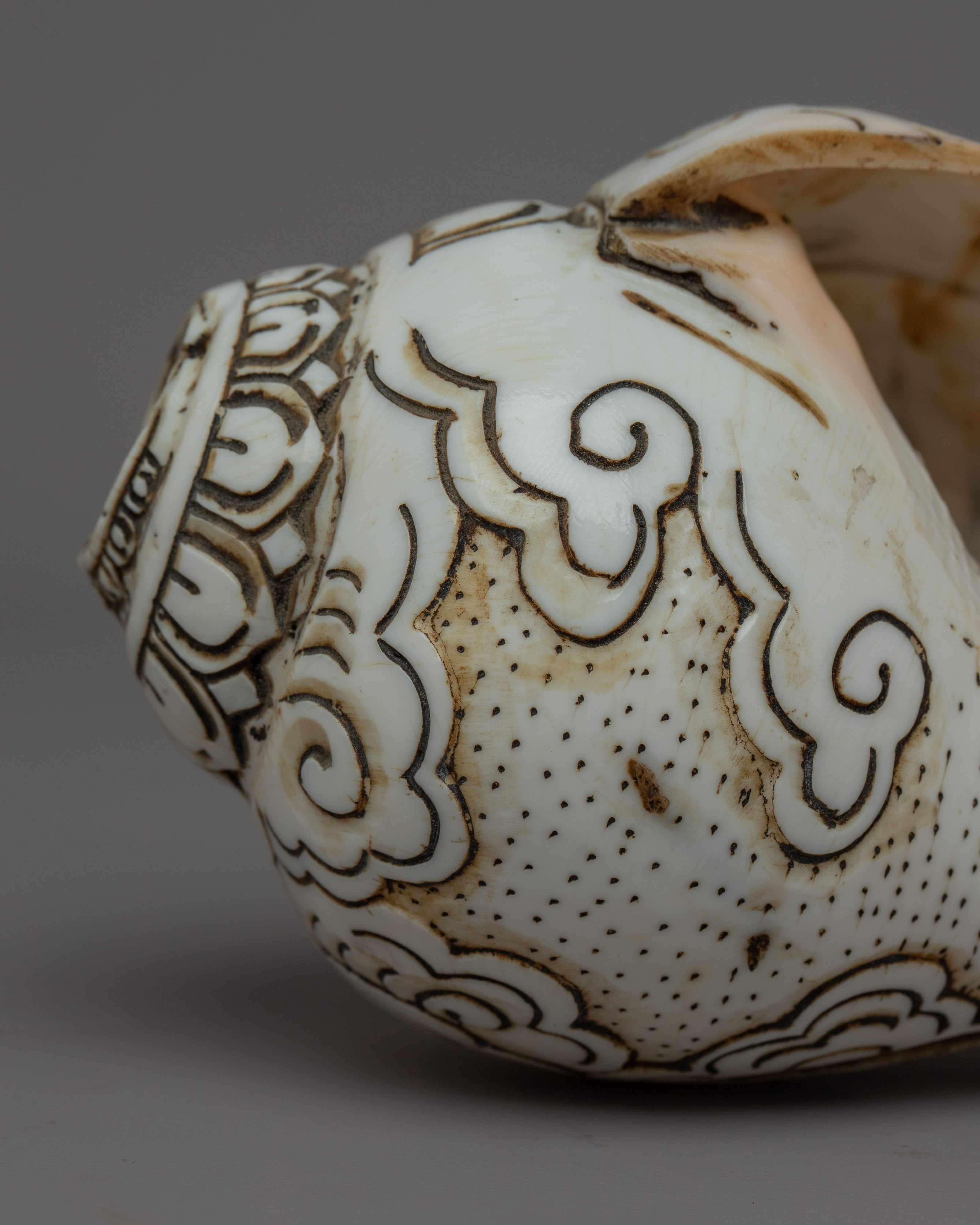 Handcraved Ritual Shankha | Sacred Conch Shell for Ceremonies