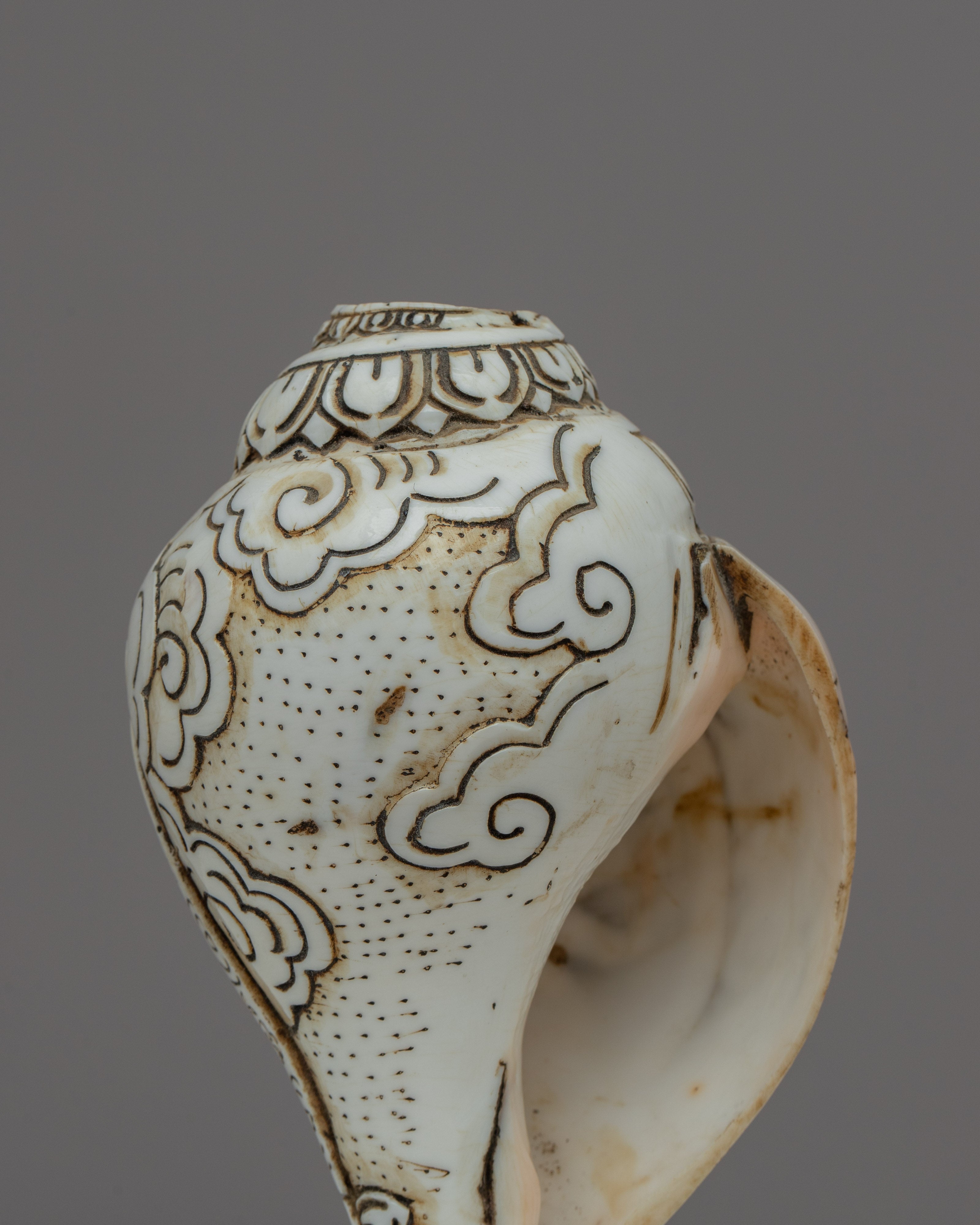 Handcraved Ritual Shankha | Sacred Conch Shell for Ceremonies