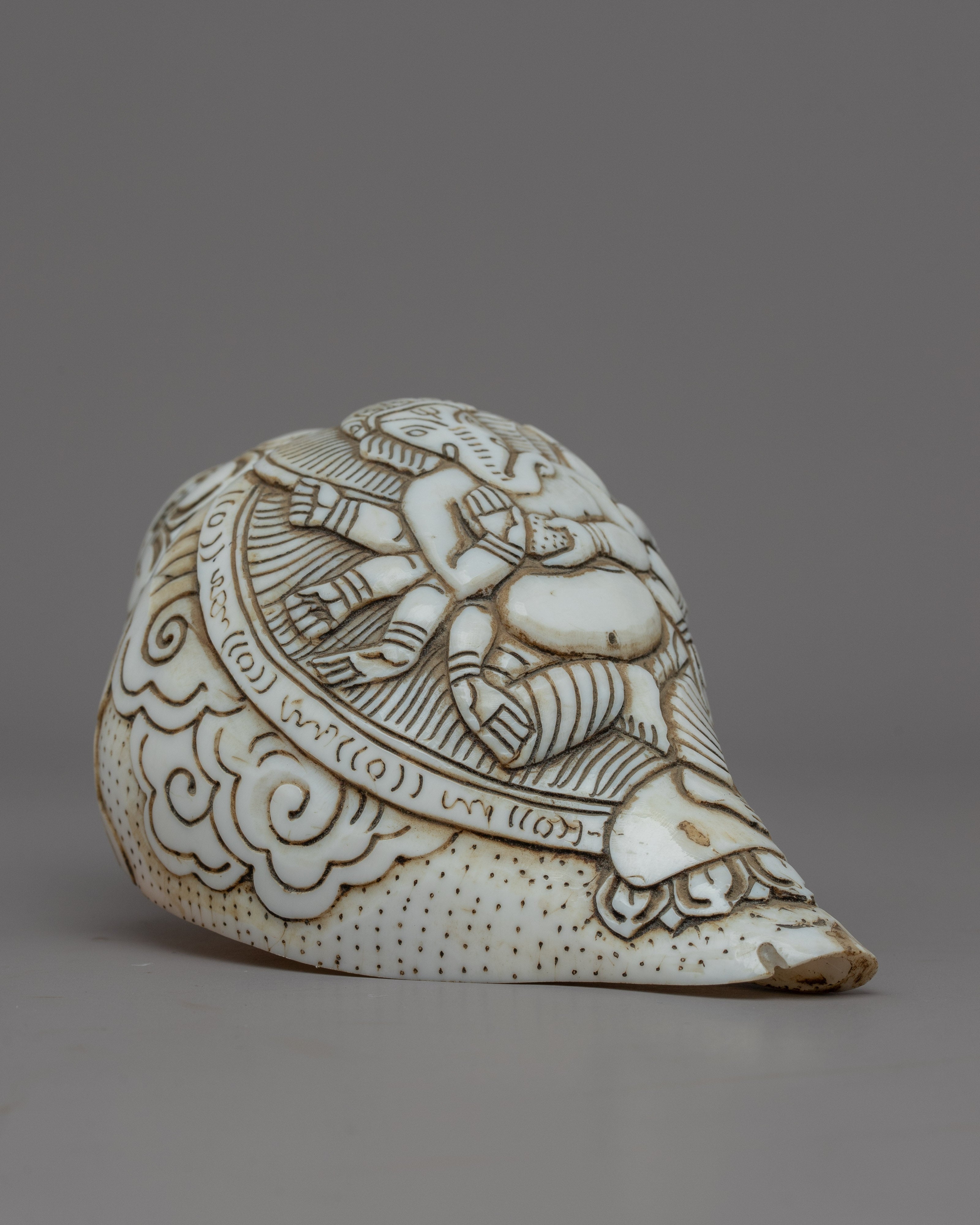 Handcraved Ritual Shankha | Sacred Conch Shell for Ceremonies