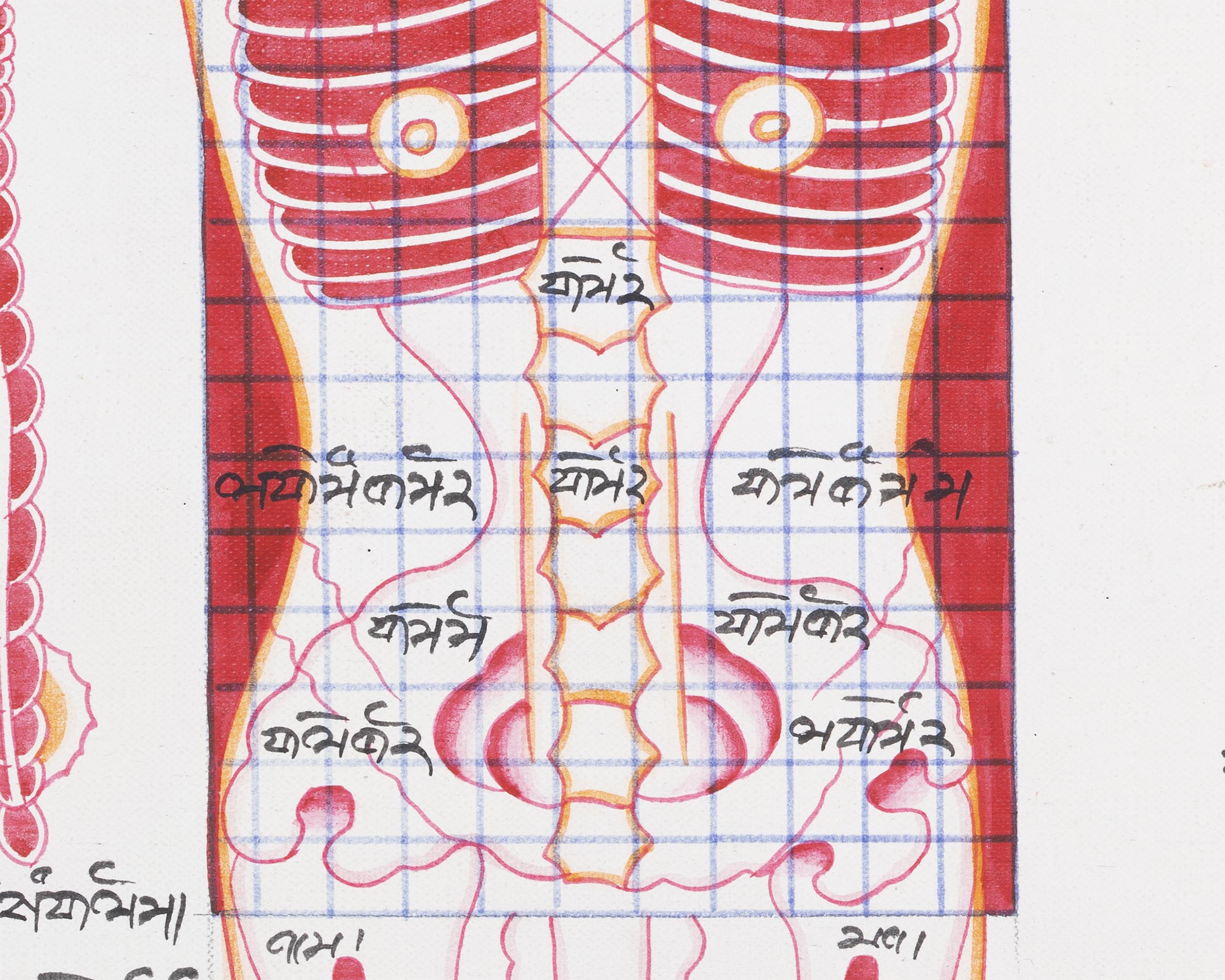 Medical Art Paintings | Wall Hanging Ideas