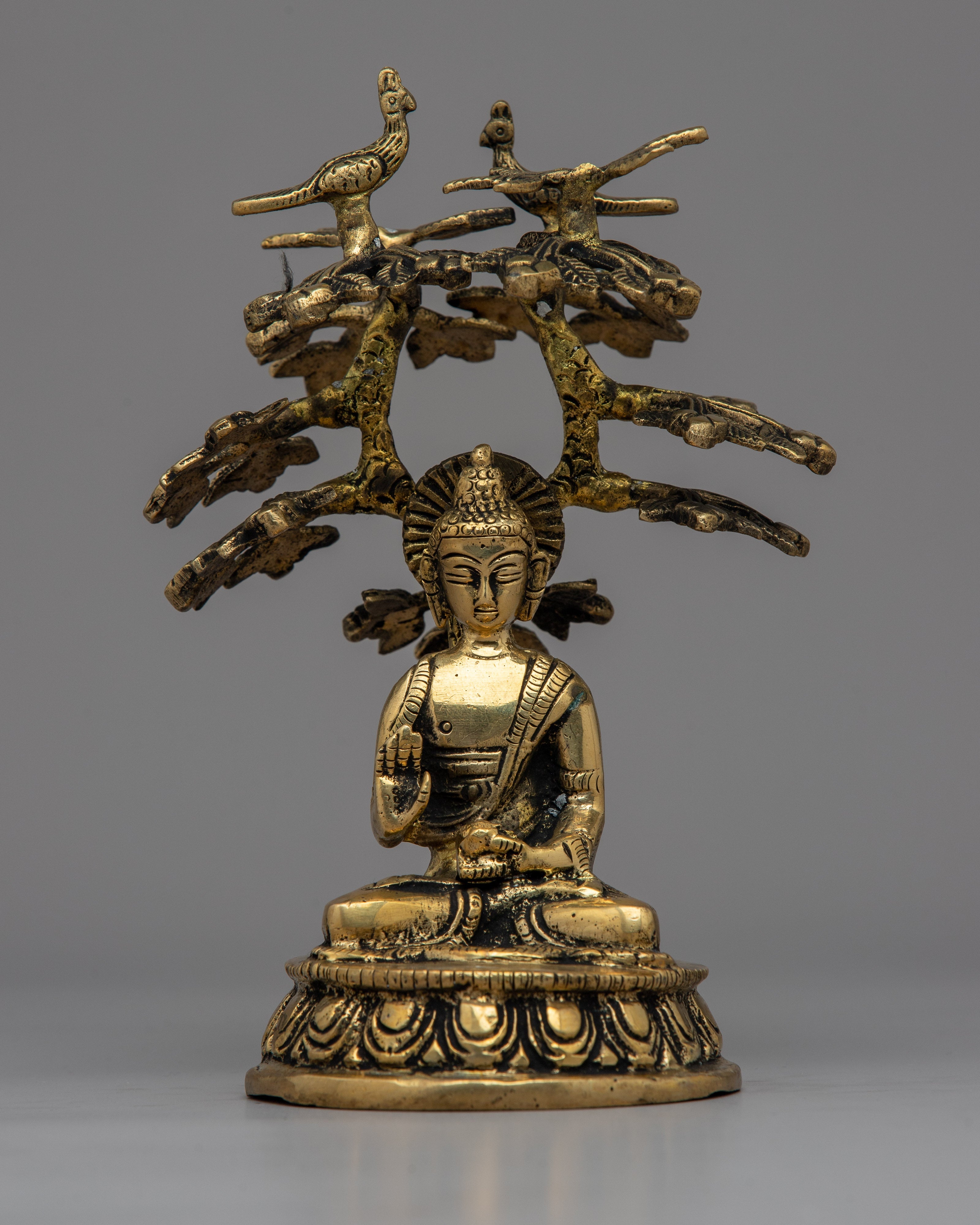 Amoghasiddhi Buddha Under the Bodhi Tree Statue