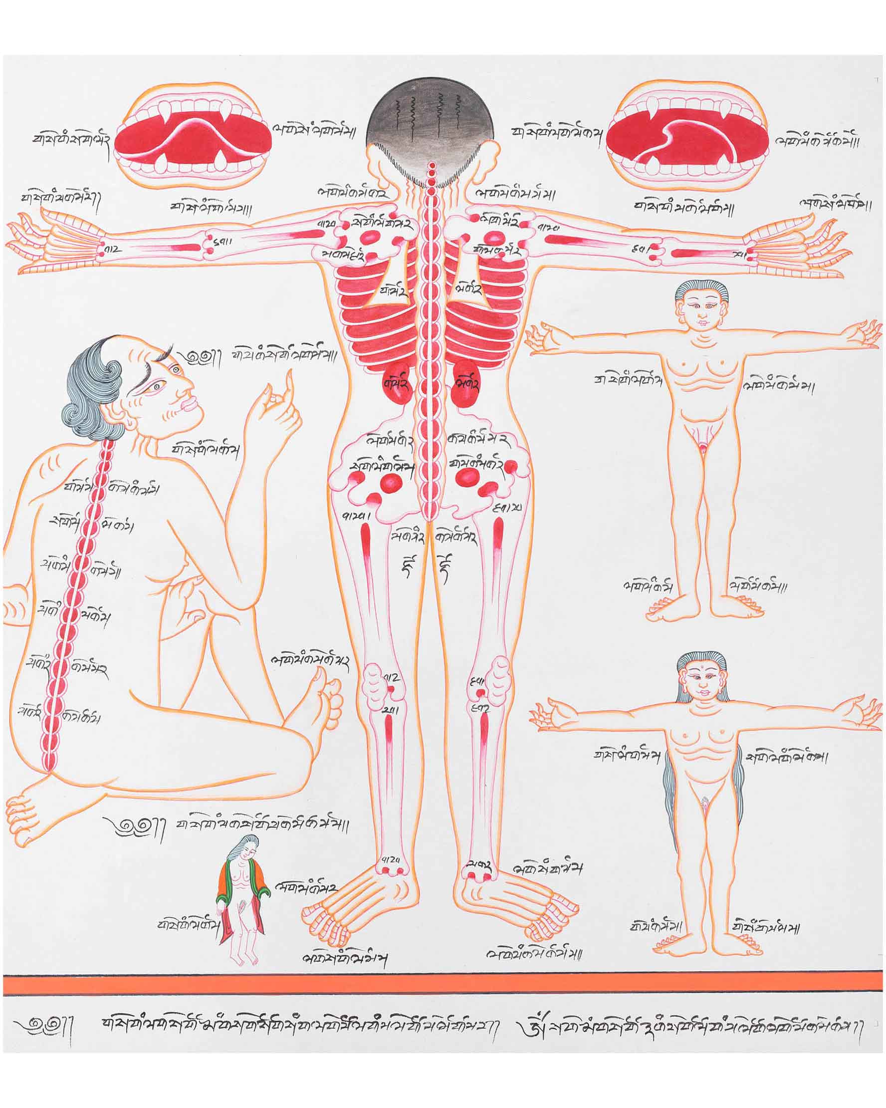 Backside of a Human Body | Himalayan Ancient Medical Technique