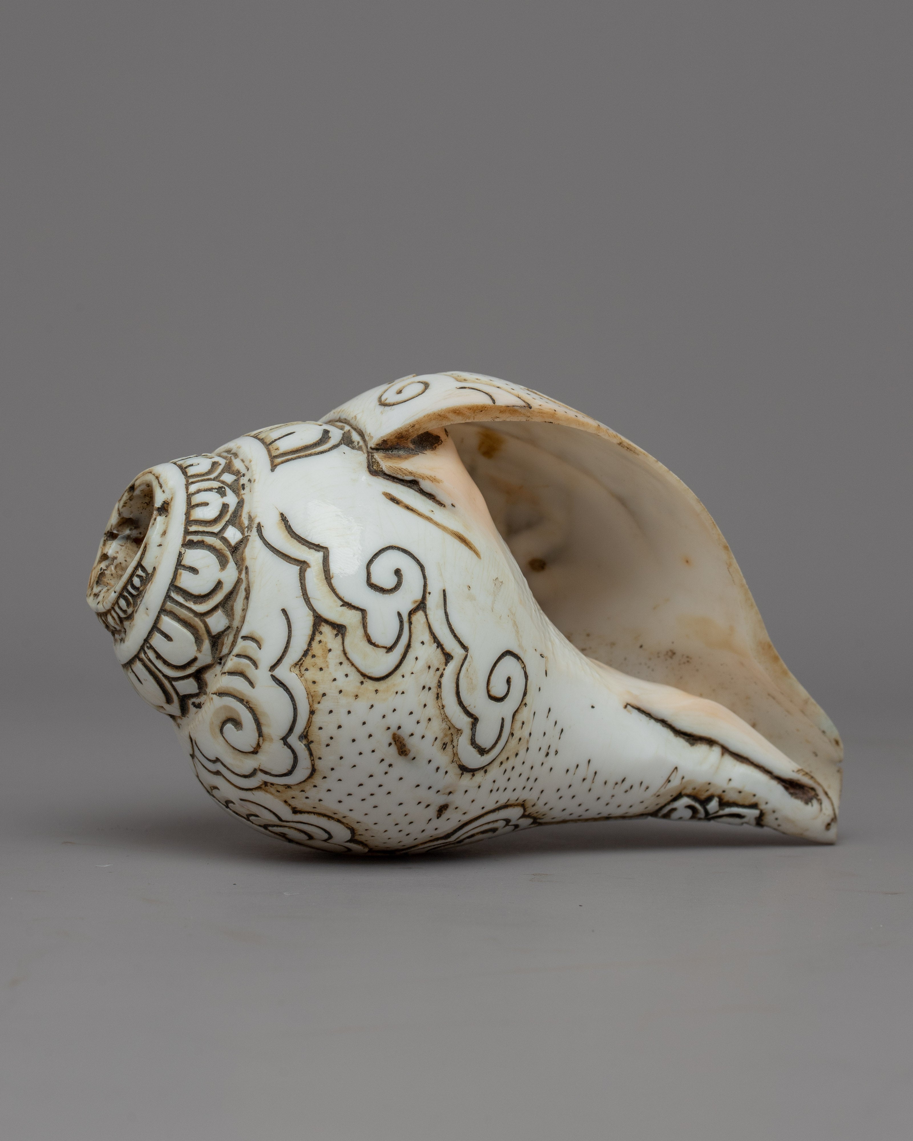 Hand craved Ritual Shankha