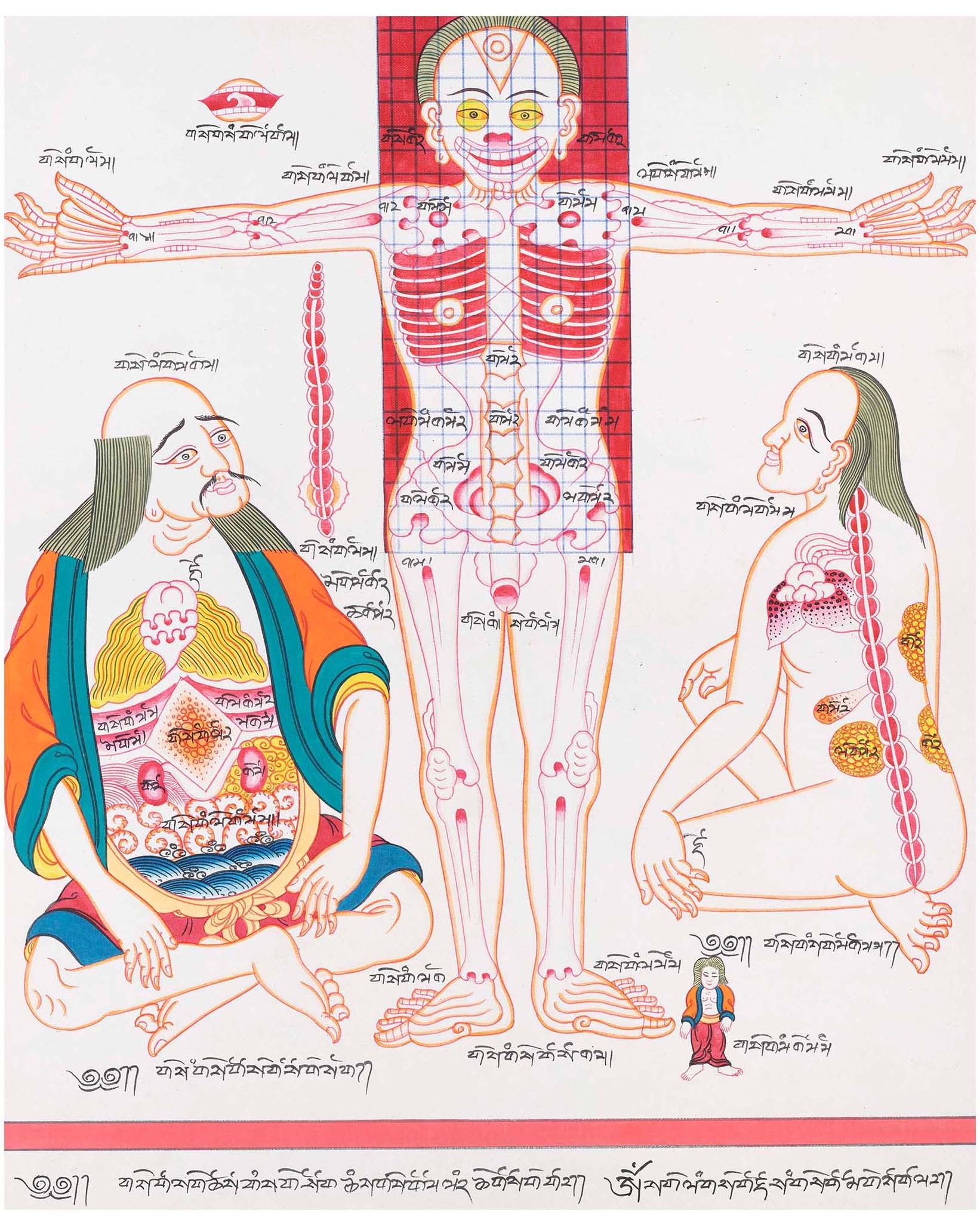 Medical Art Paintings | Wall Hanging Ideas