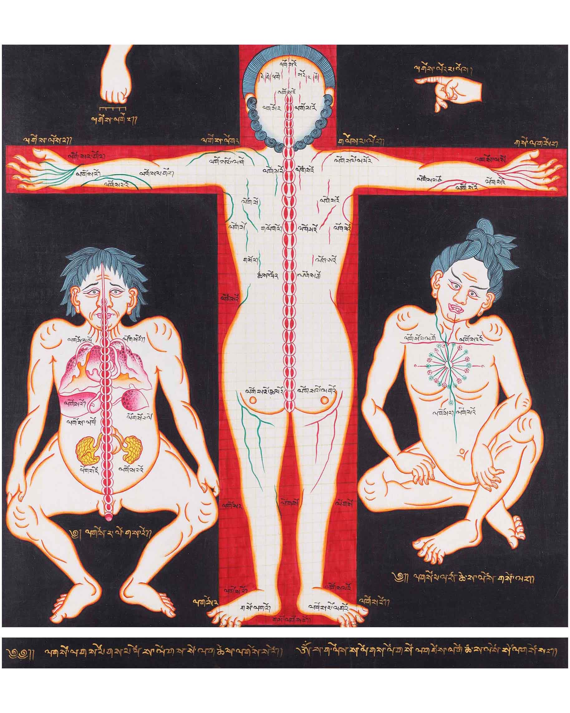 Ancient Depiction of Physical Form Used in Tibet | Three anatomical figures