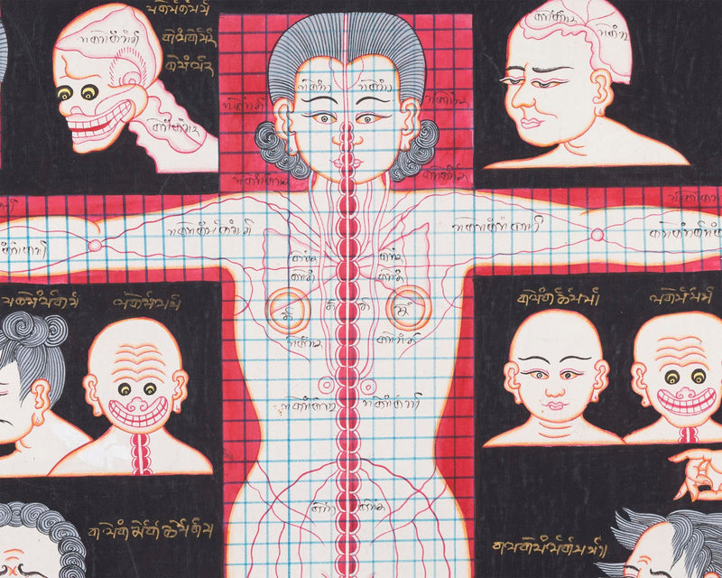 Cranial Physiognomy | Tibetan Thangka Depicting the Circulation of Blood