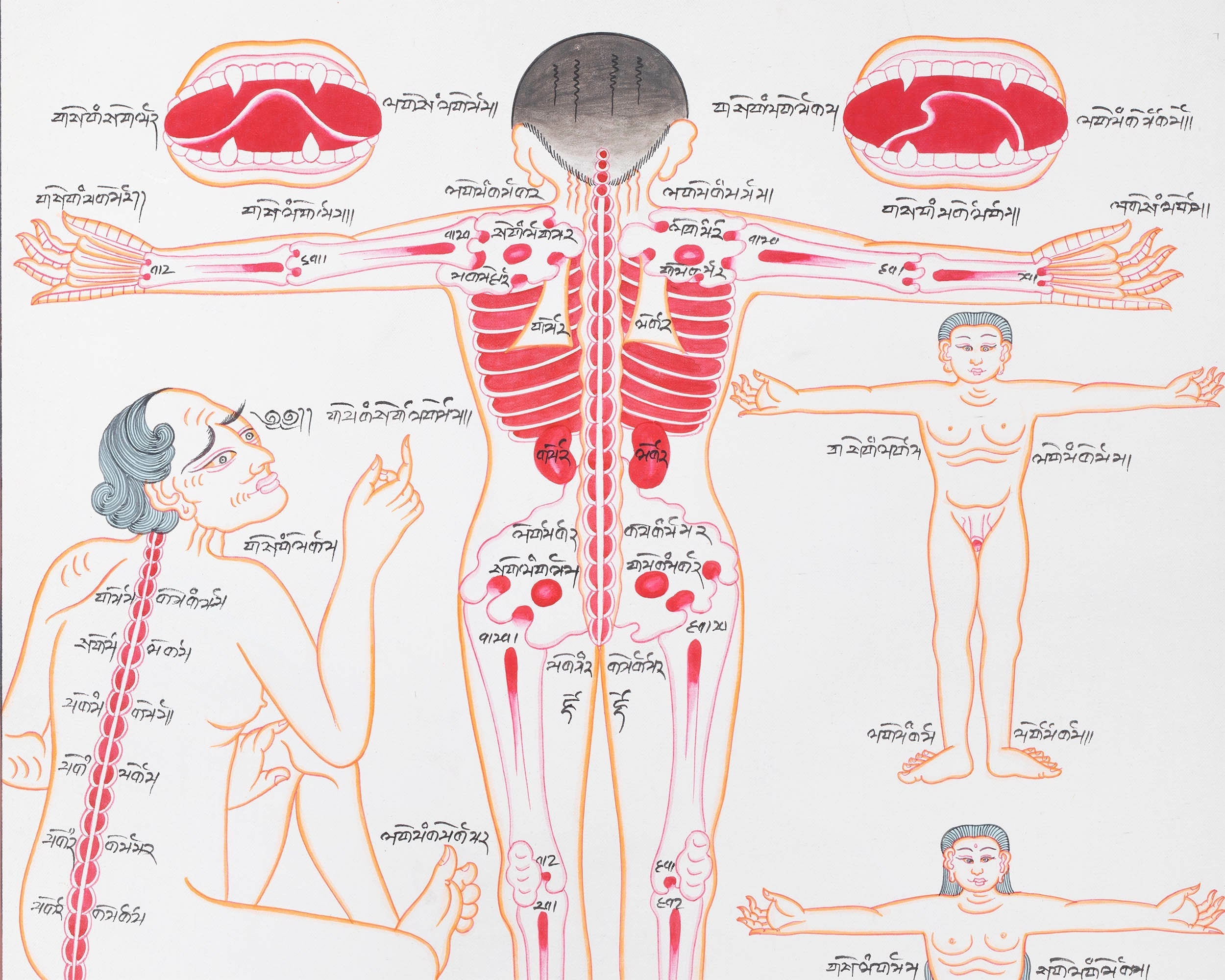 Backside of a Human Body | Himalayan Ancient Medical Technique