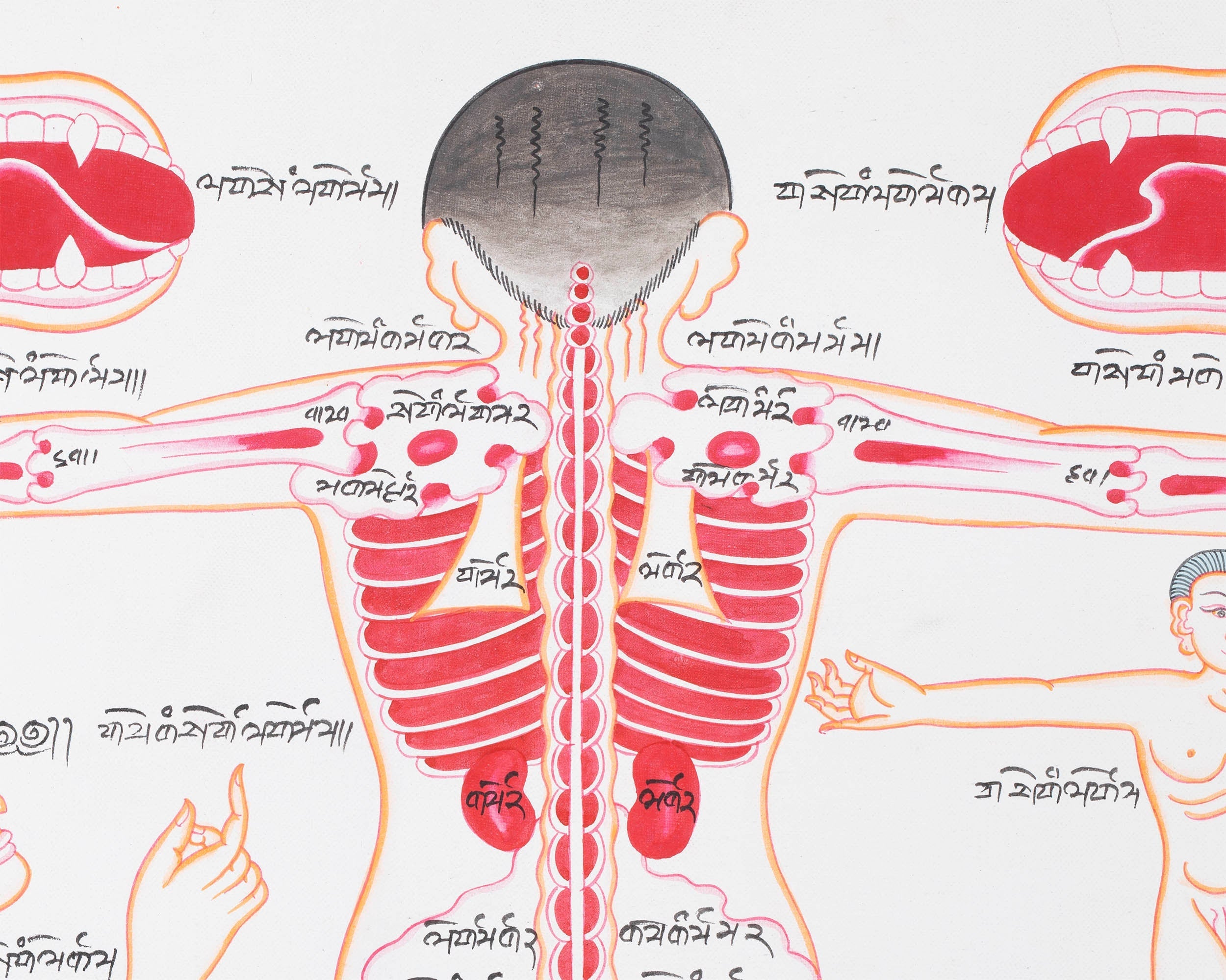 Backside of a Human Body | Himalayan Ancient Medical Technique