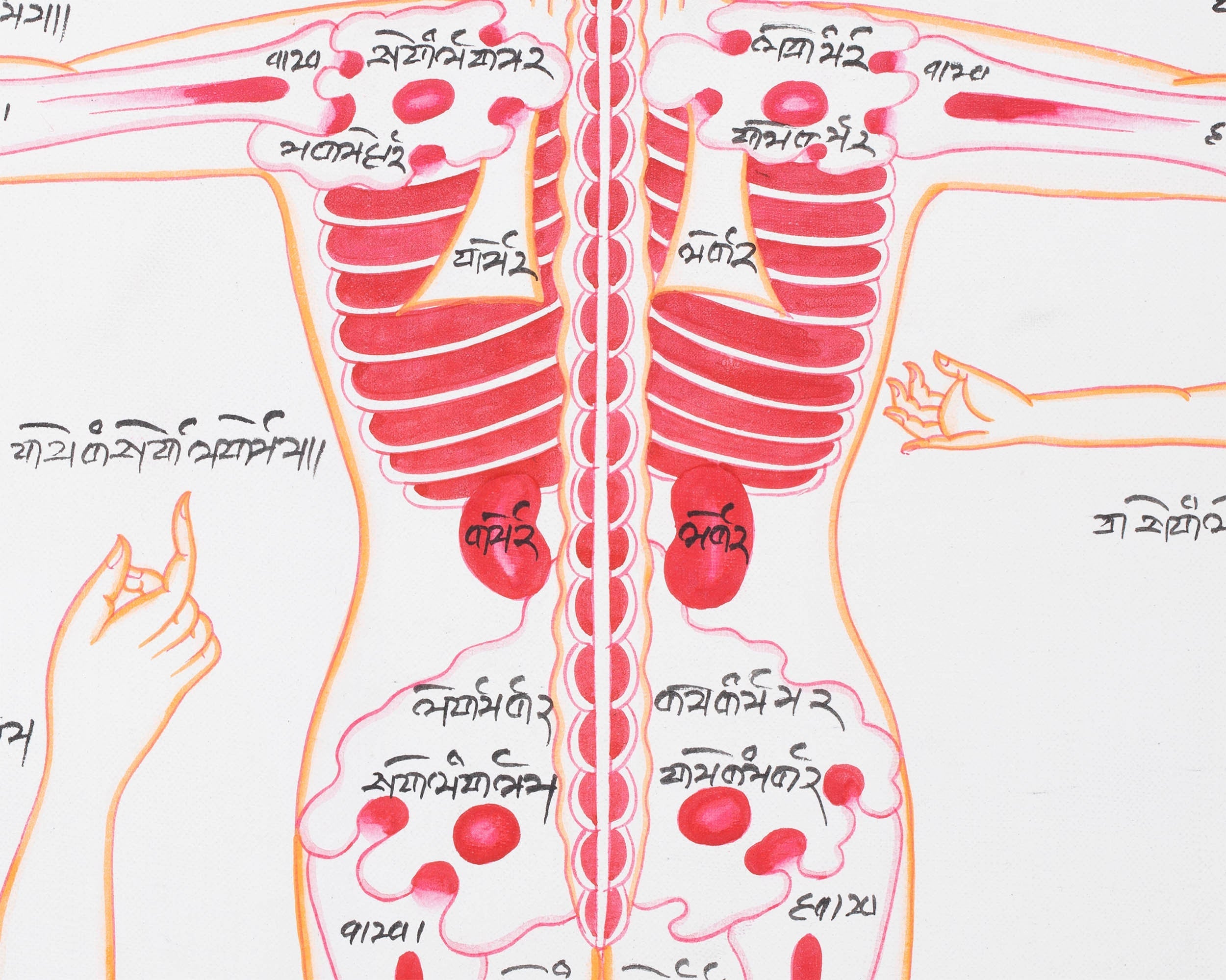 Backside of a Human Body | Himalayan Ancient Medical Technique