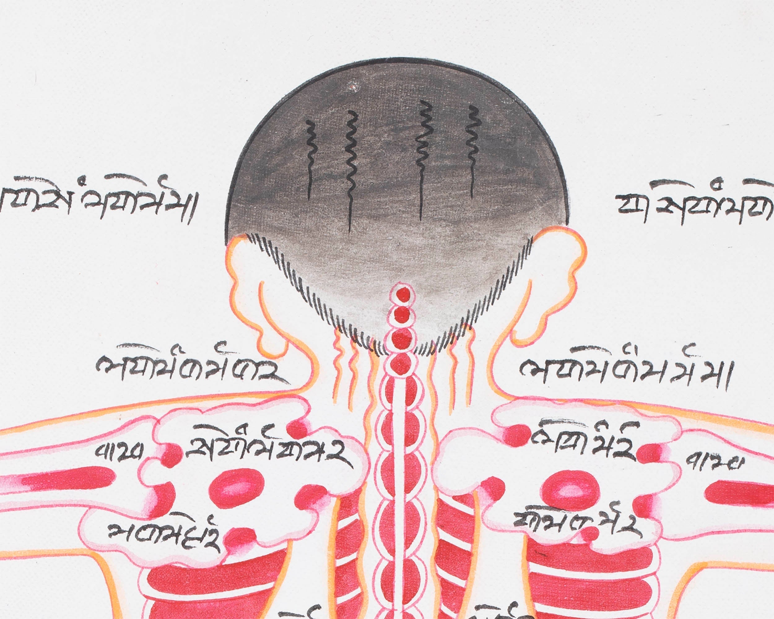 Backside of a Human Body | Himalayan Ancient Medical Technique