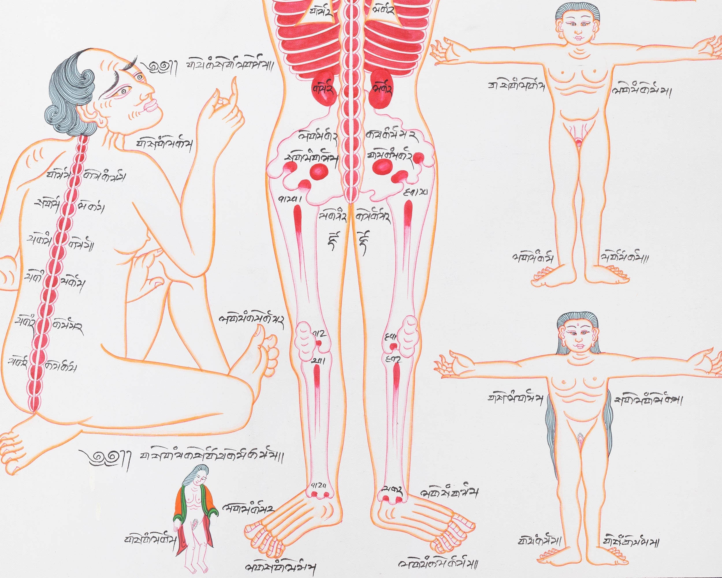 Backside of a Human Body | Himalayan Ancient Medical Technique