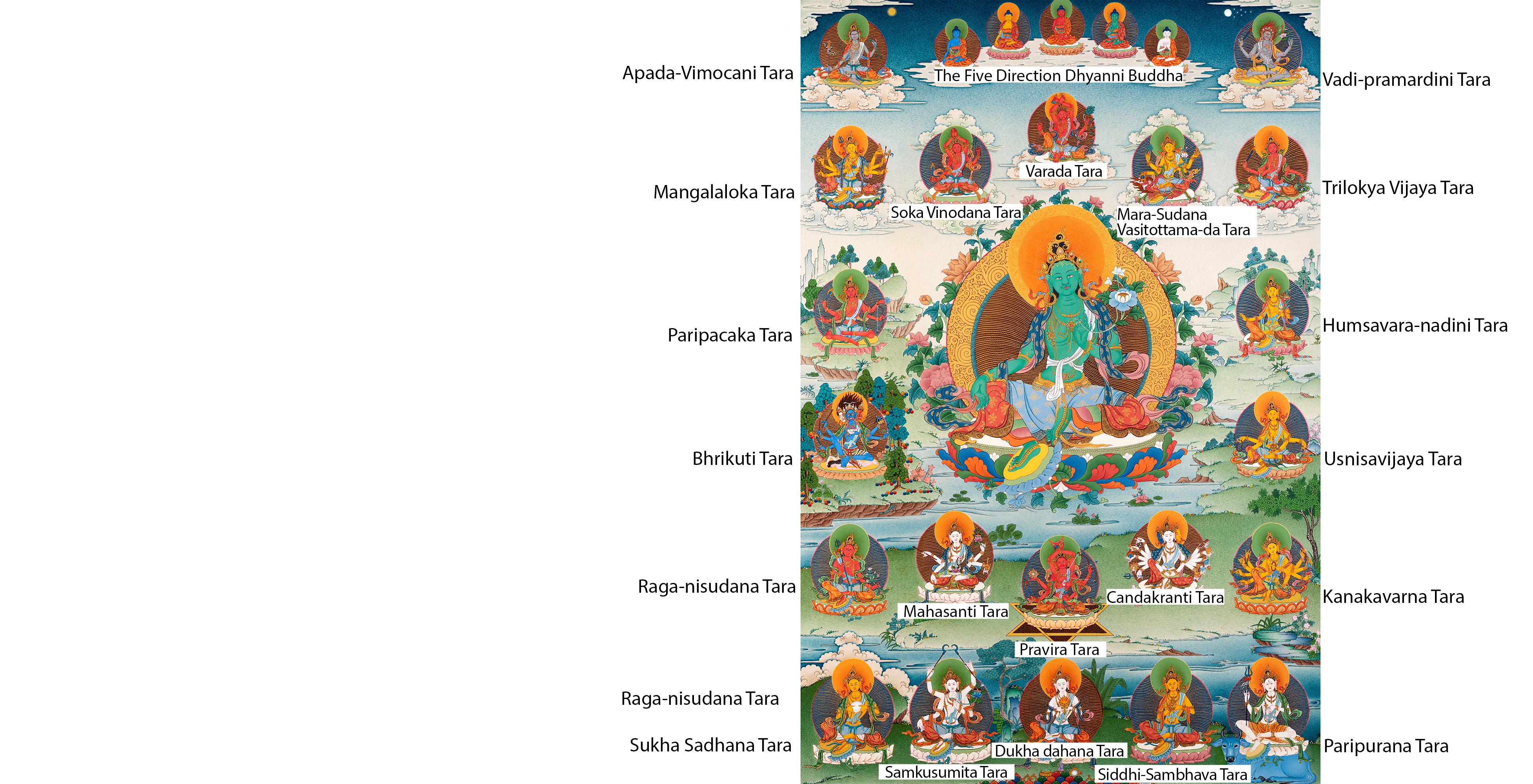 21 Tara Names