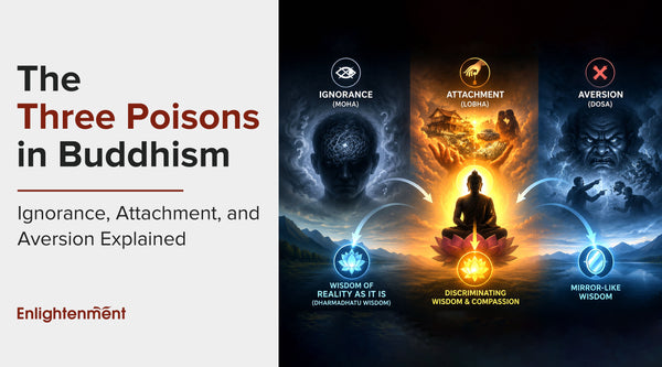 The Three Poisons in Buddhism: Ignorance, Attachment, and Aversion Explained