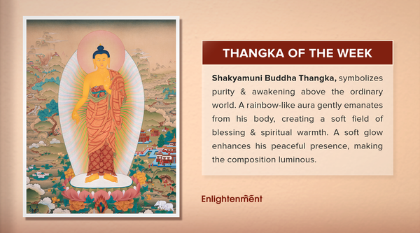 The Spiritual Meaning Behind the Standing Shakyamuni Buddha Thangka: Symbolism, Meditation, and Peace