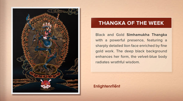 Explore The Black and Gold Simhamukha (Sengdongma) Thangka "The Lion Faced Dakini"