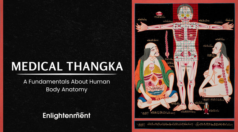 Medical Thangka: A Fundamentals About Human Body Anatomy