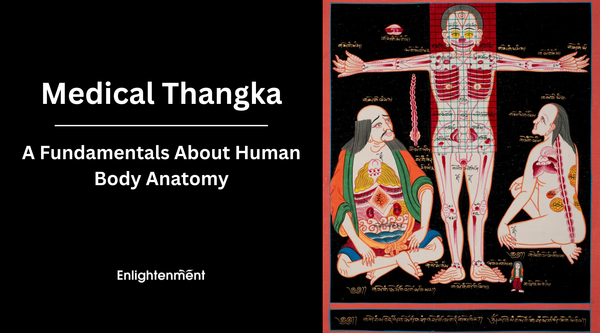 Medical Thangka: A Fundamentals About Human Body Anatomy