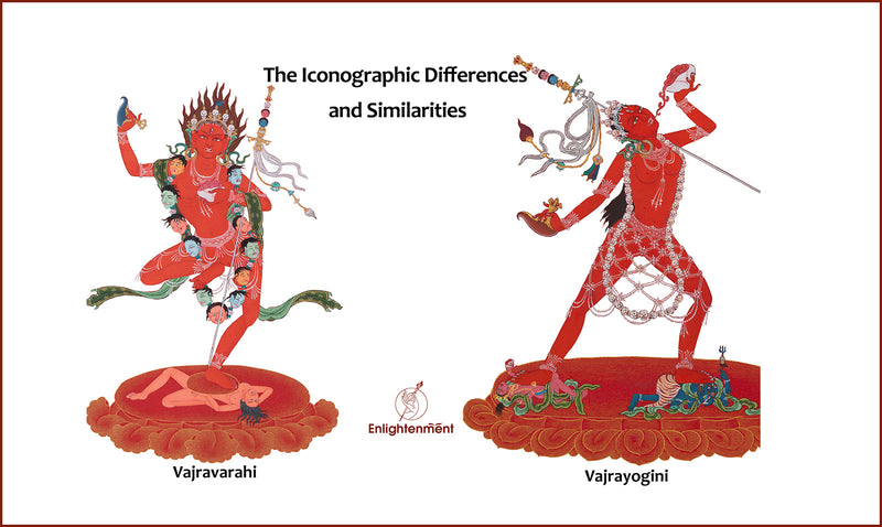 iconographic differences of vajravarahi vajrayogini