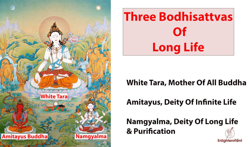 the three deities of long life