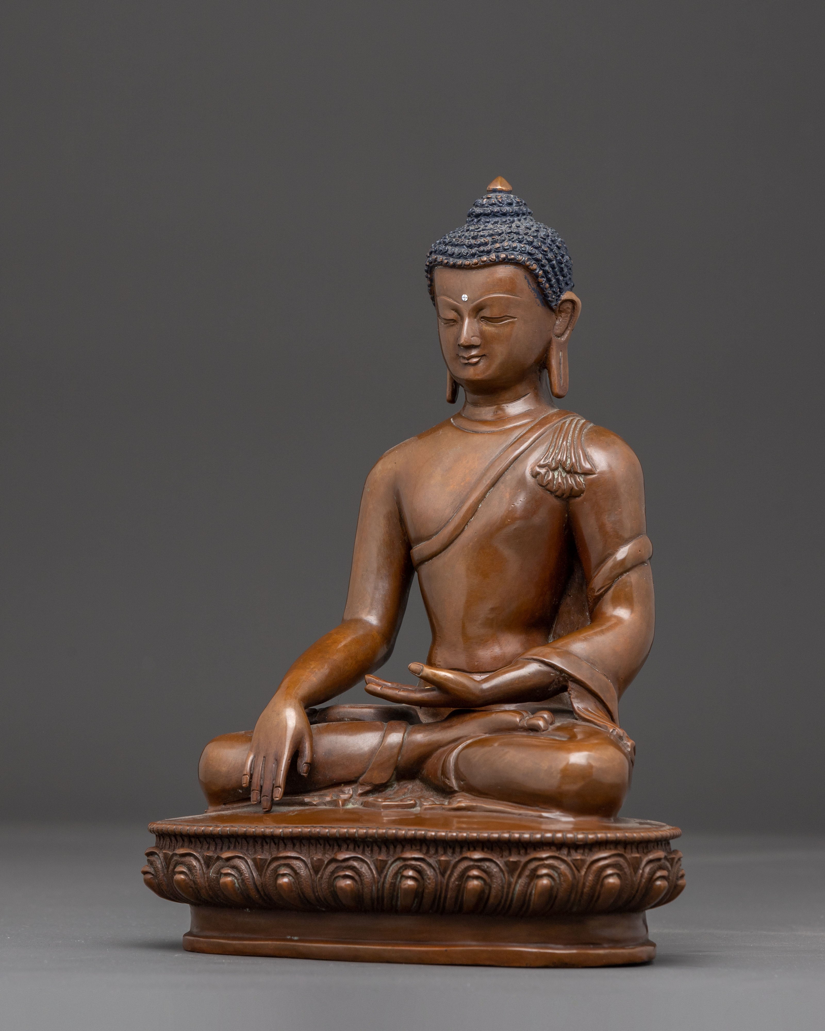 Statue of Buddha Shakyamuni | The Awakened One